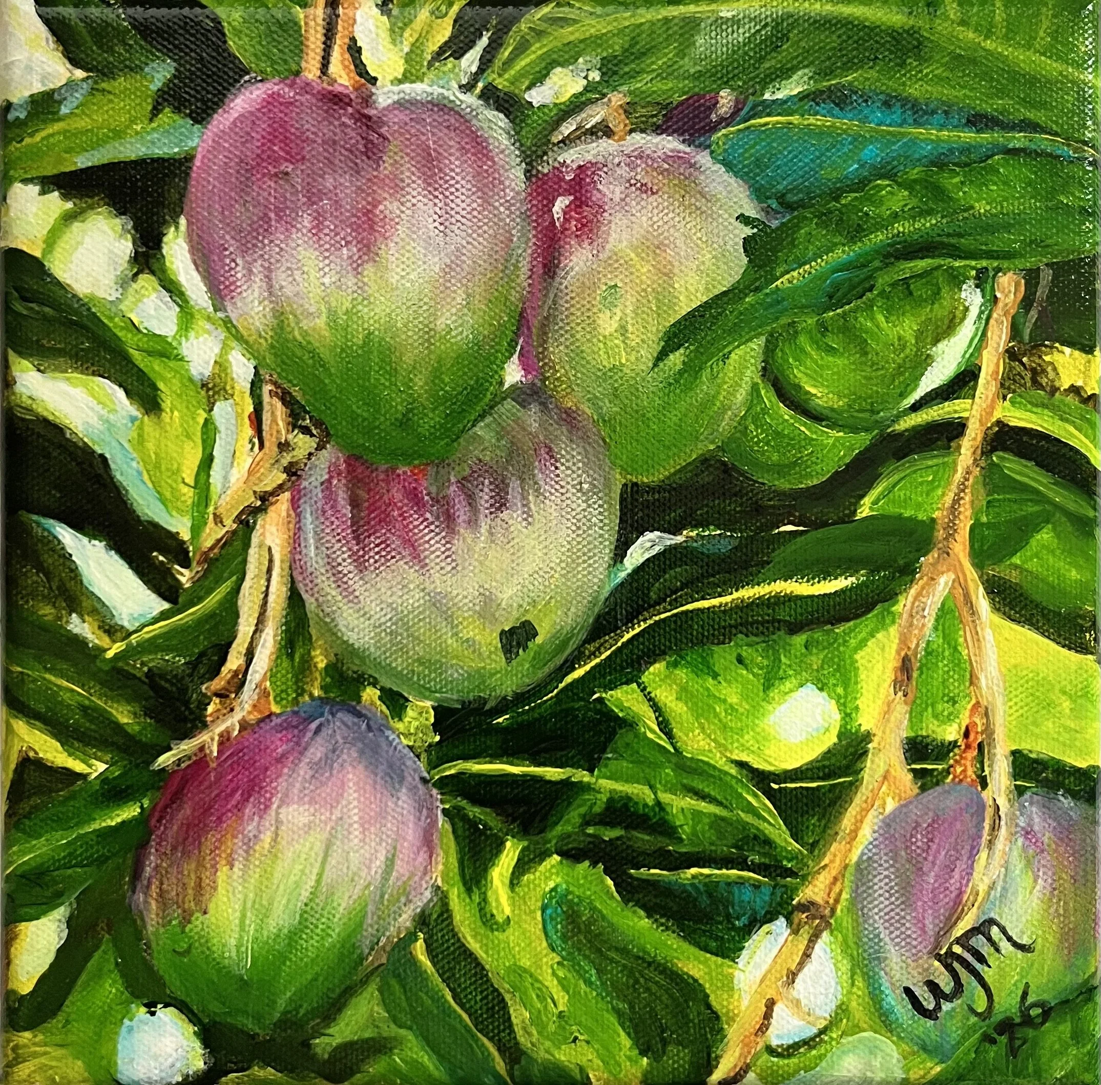 Ripening Mangoes — Giclée Print of Original Acrylic Painting by Wendy Molinaroli
