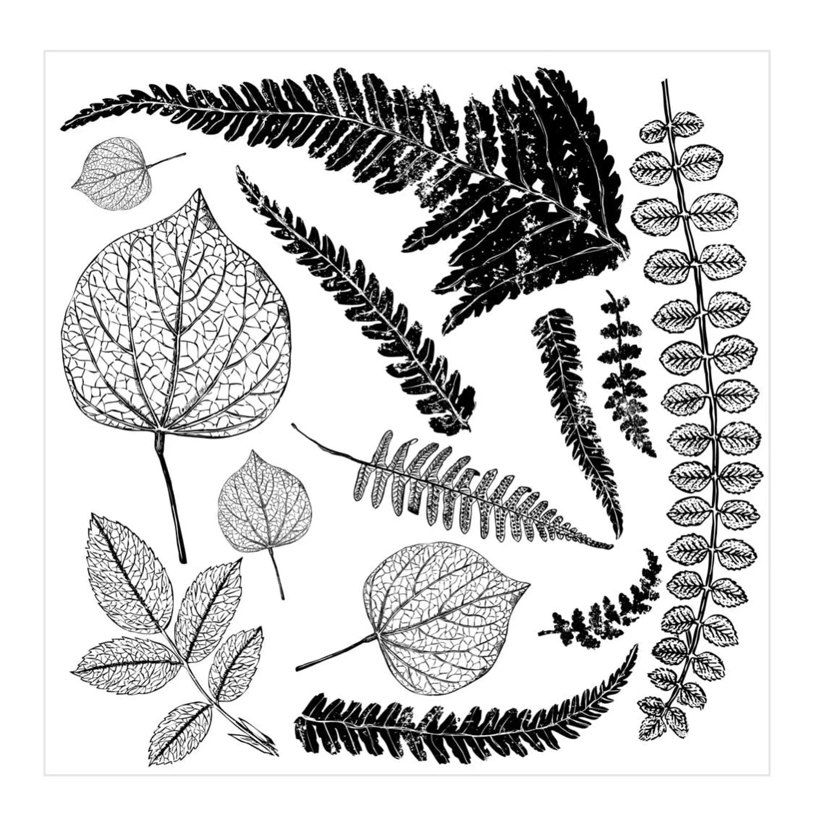 Fronds IOD Stamp 12 x 12