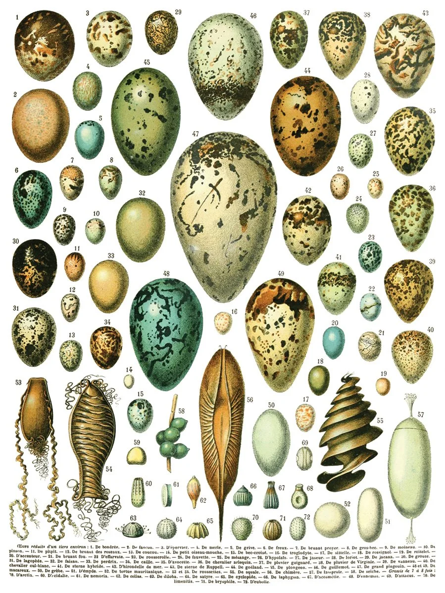 Millots Pages sheet 2.jpeg