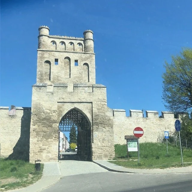 entrance to walled city.jpg