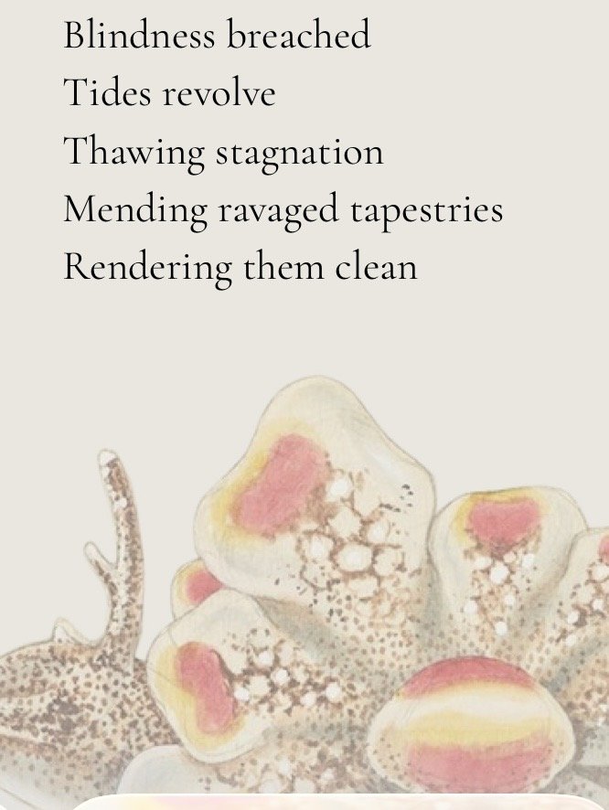 A New Kind of Publication 