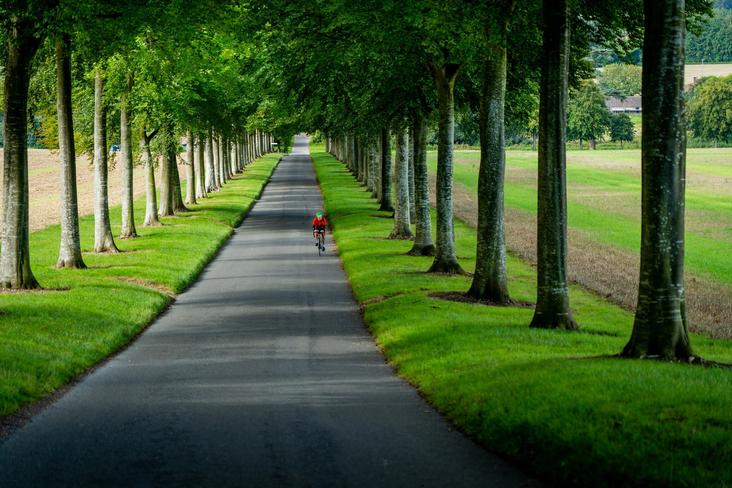 10 Health Essentials