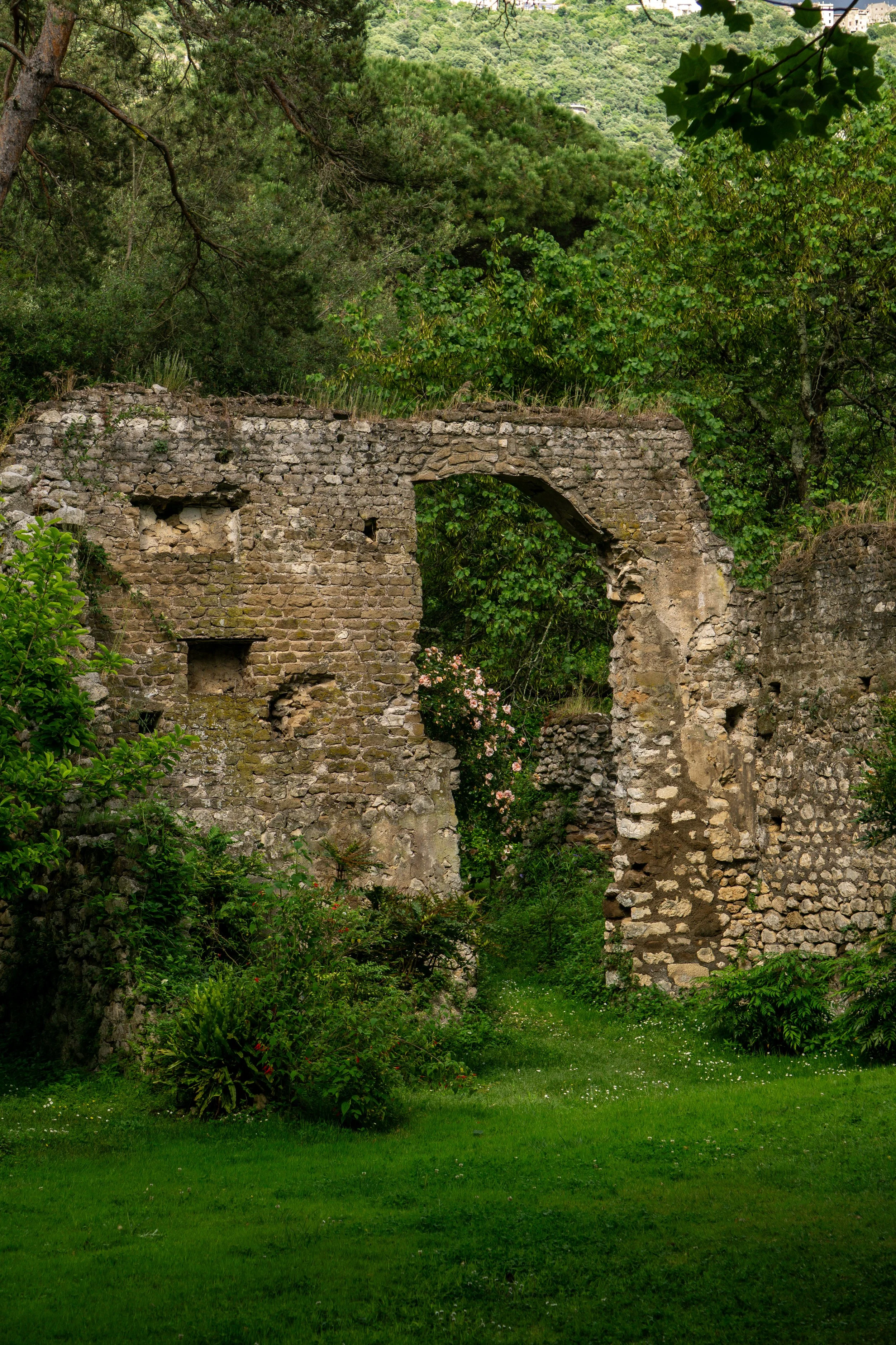 pink-rose-archway.jpg