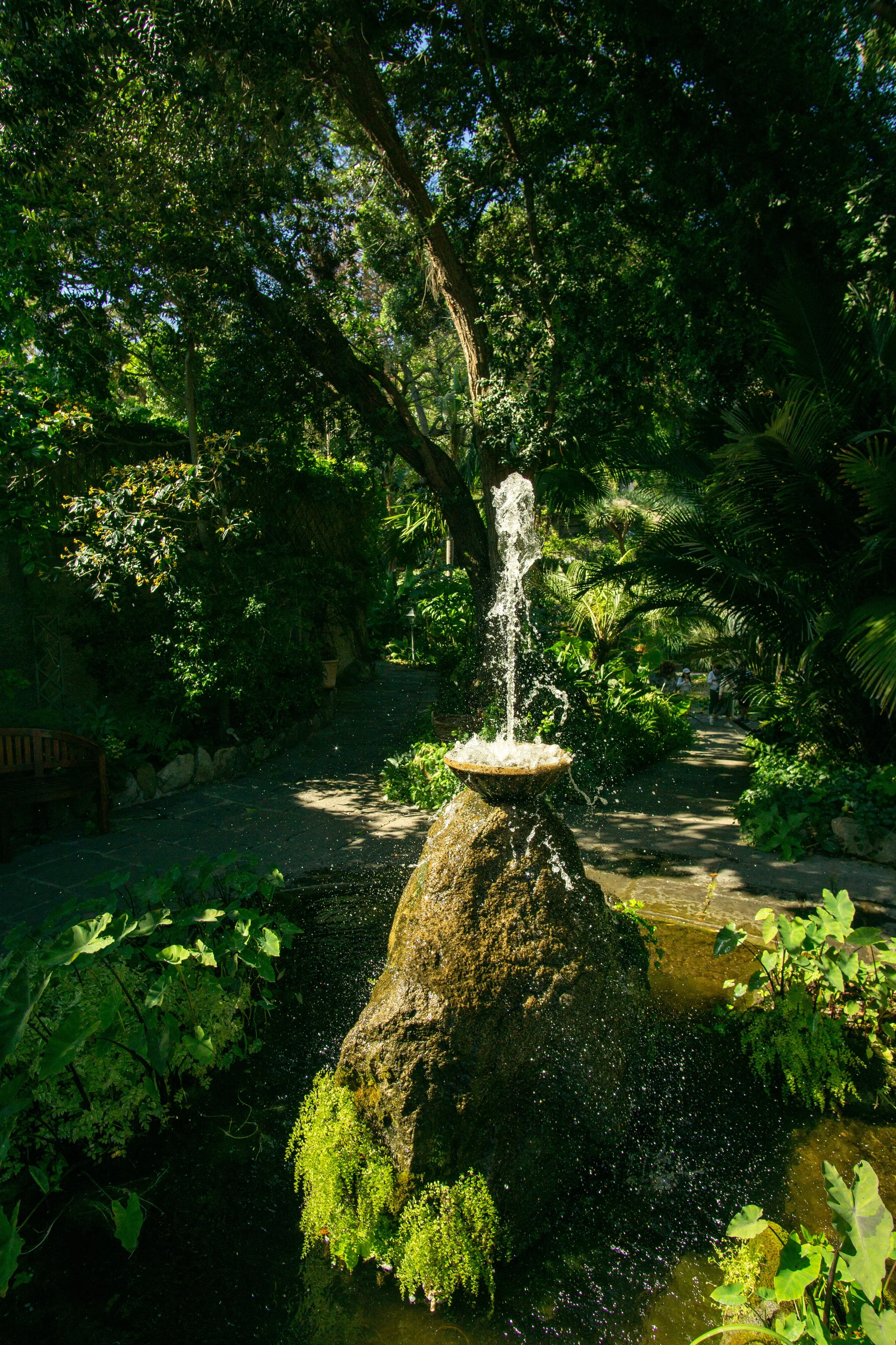 water_fountain.jpg