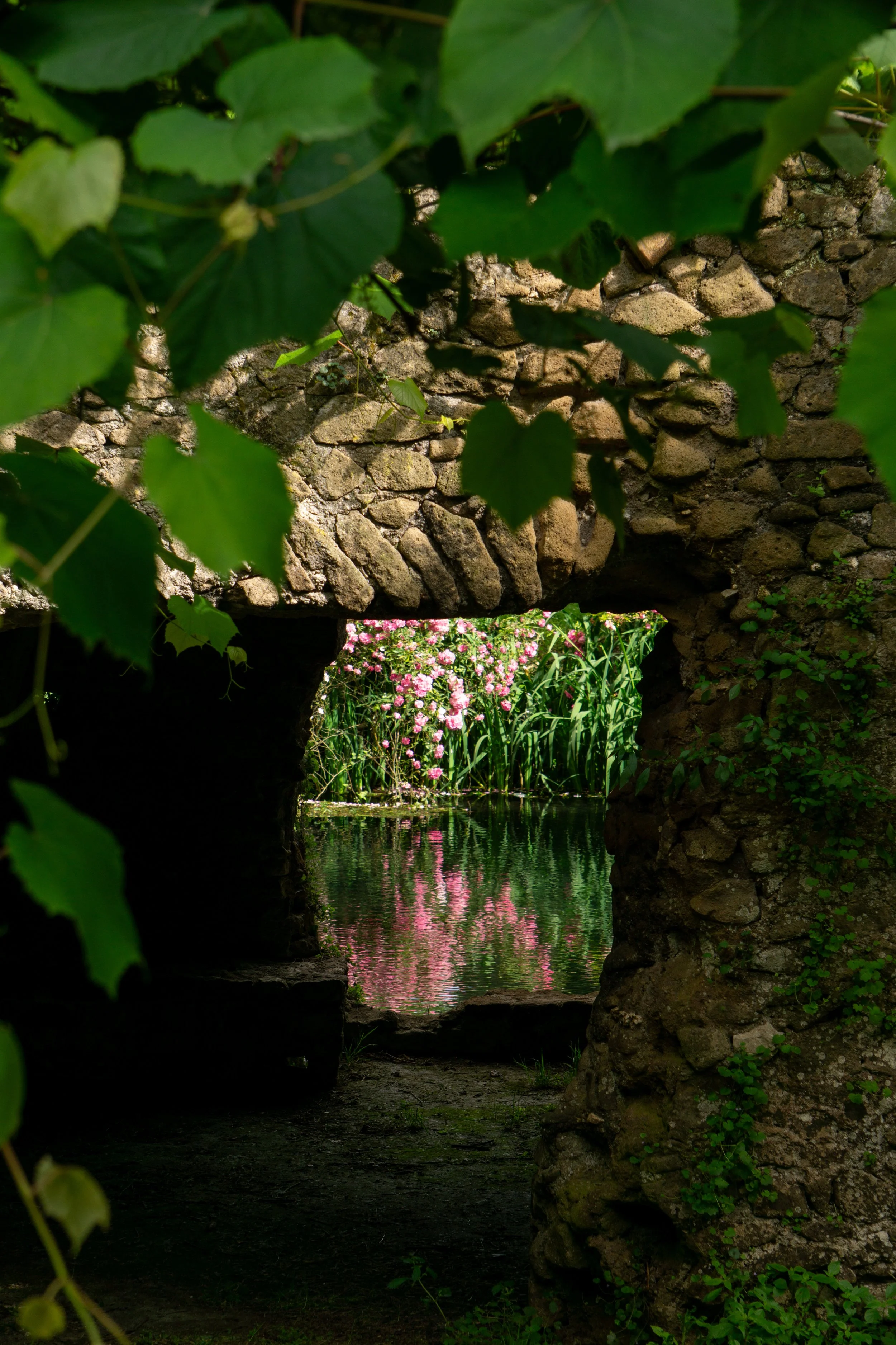 rose-by-the-water.jpg