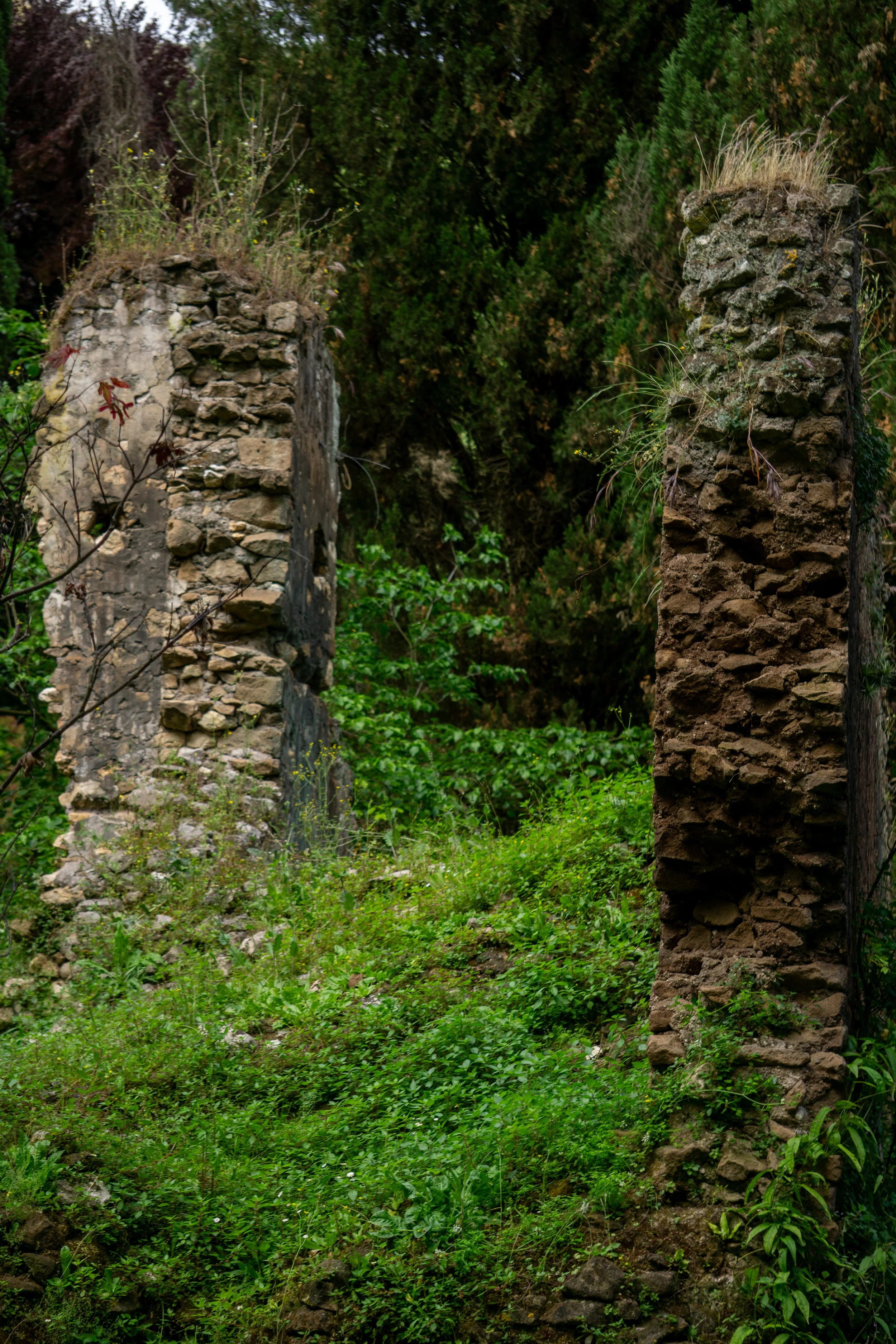 manicured-ruins.jpg