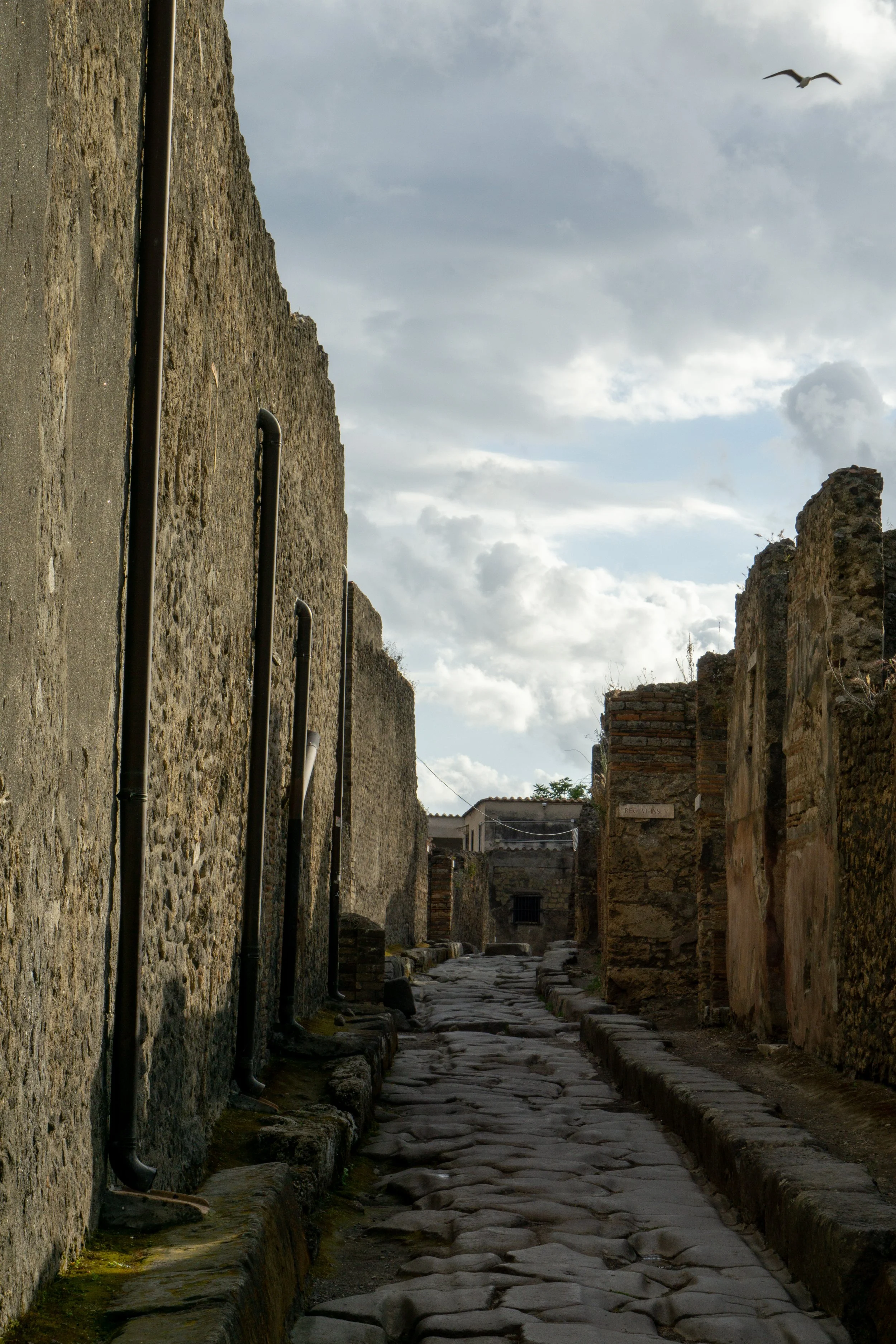 Pompei-Seagull-Alley.jpg