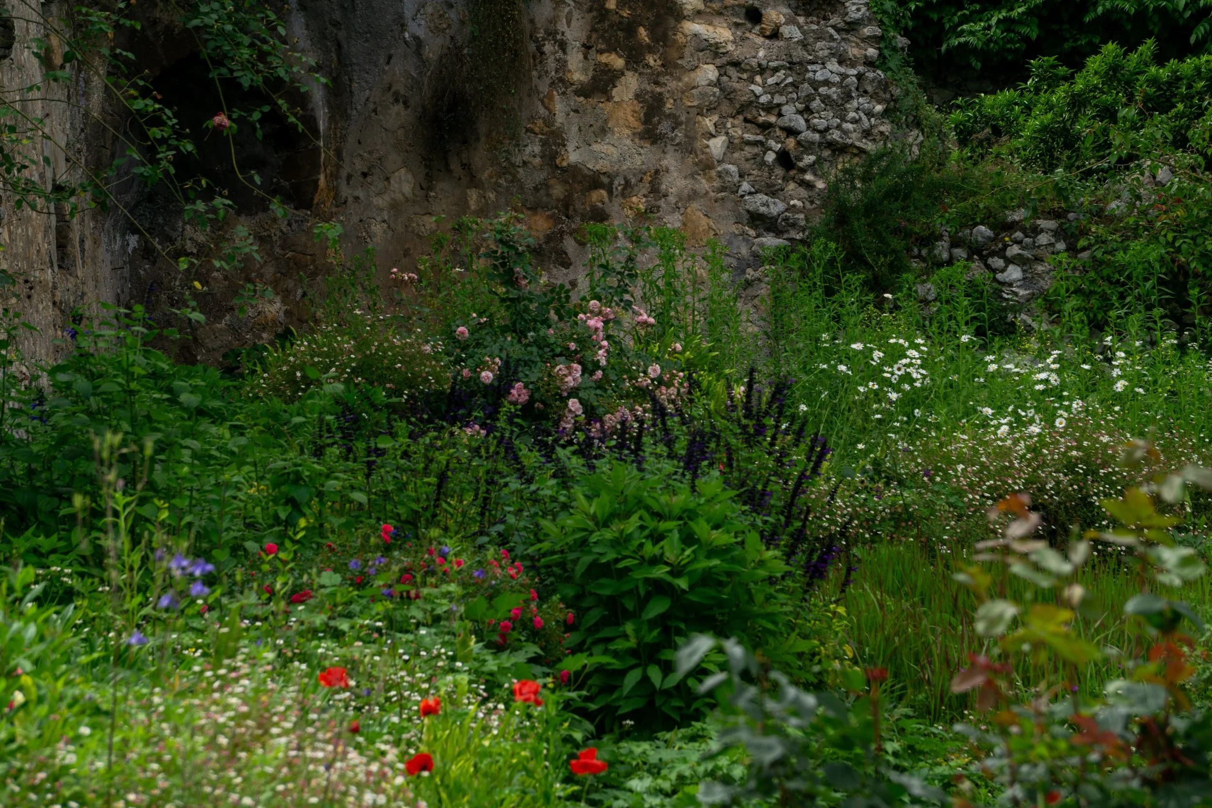 ninfa-flowers.jpg