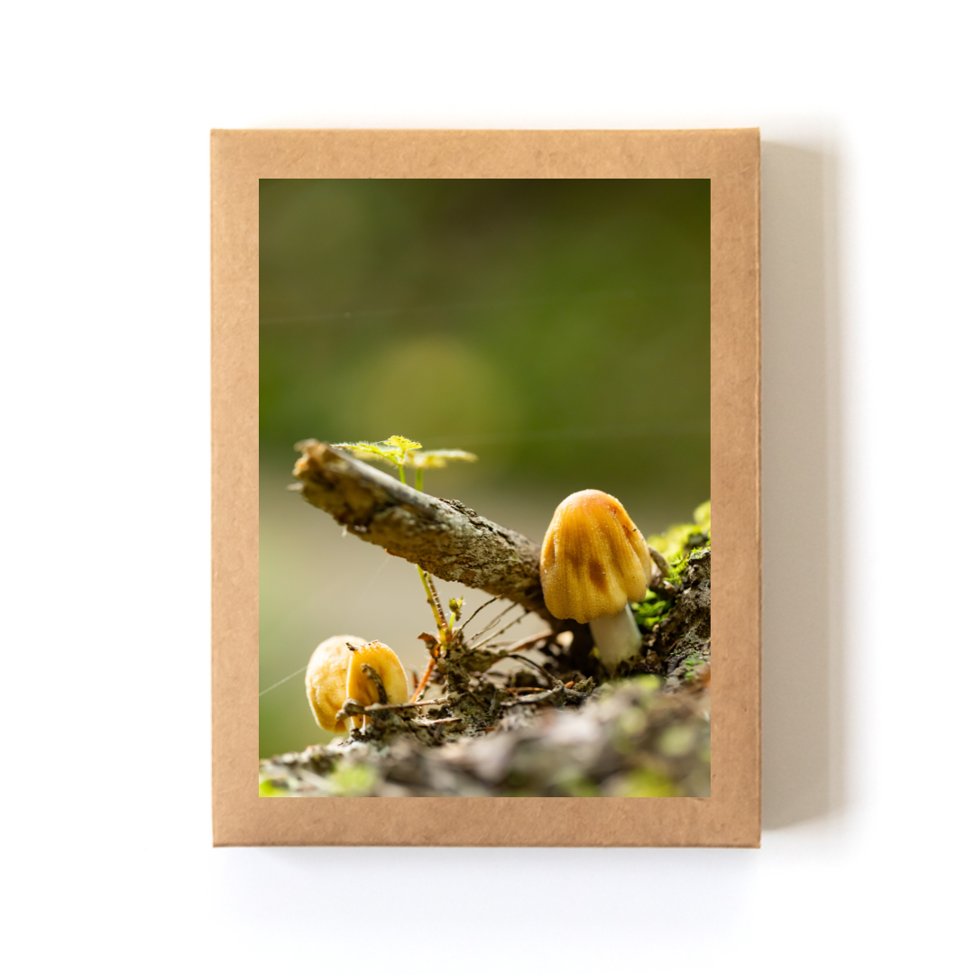 Time for a rest_Boxed Set.png