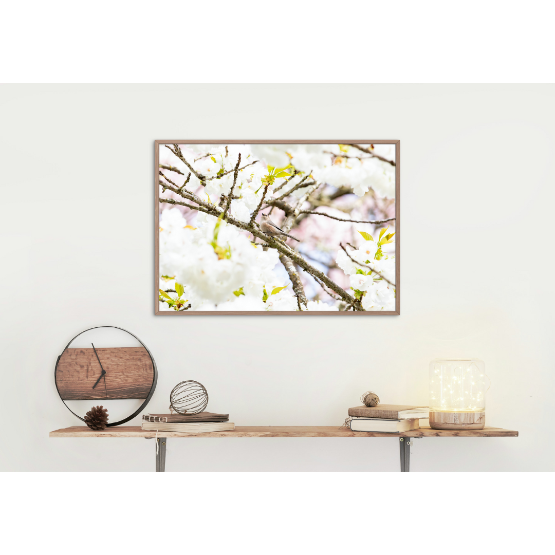 "Lost in Cherry Blossoms" Print