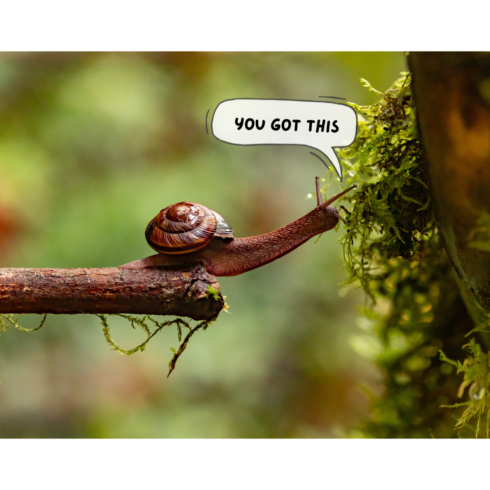 C-119T • "You Got This" 