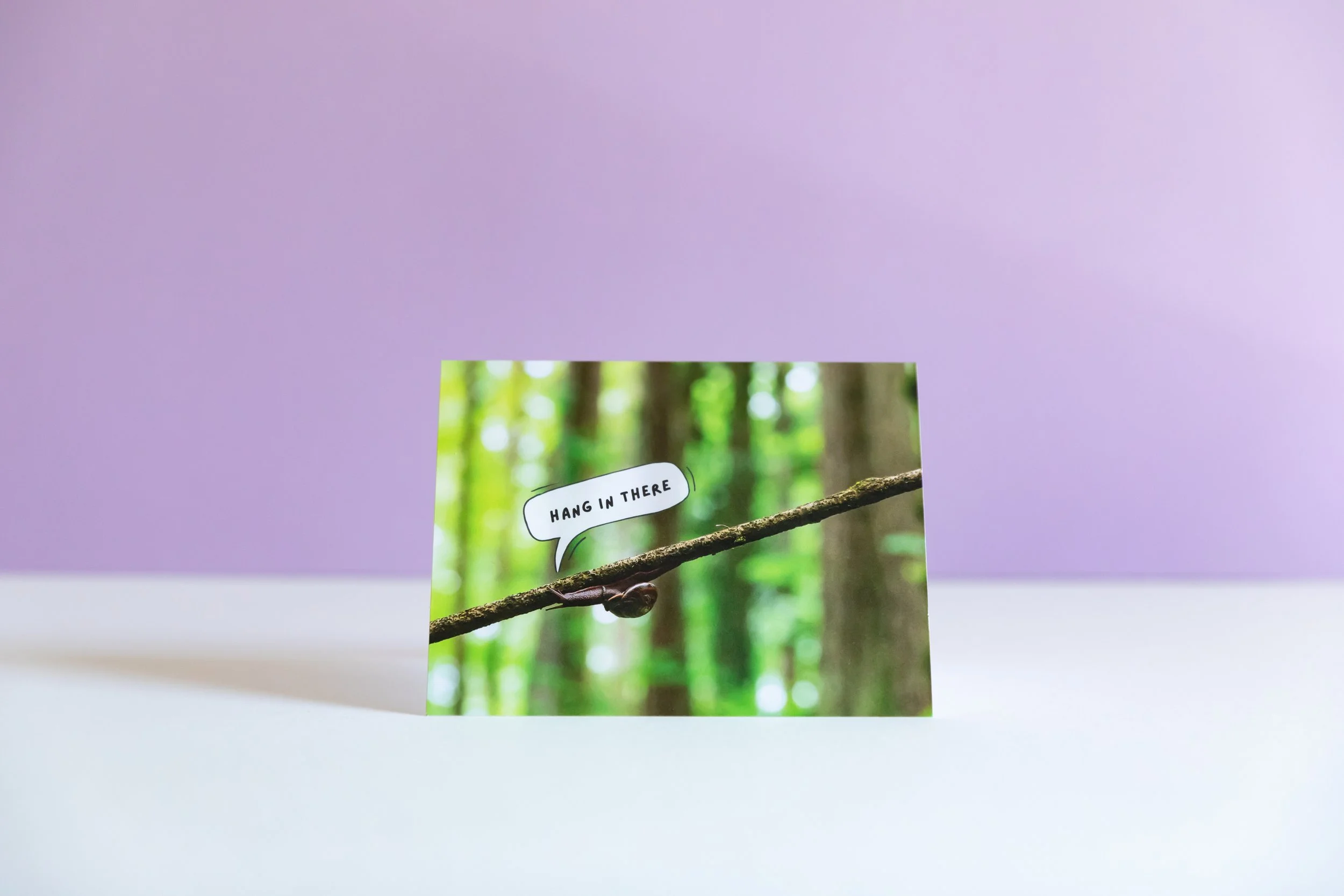 A greeting card designed by Andrea Morris Studio featuring a snail