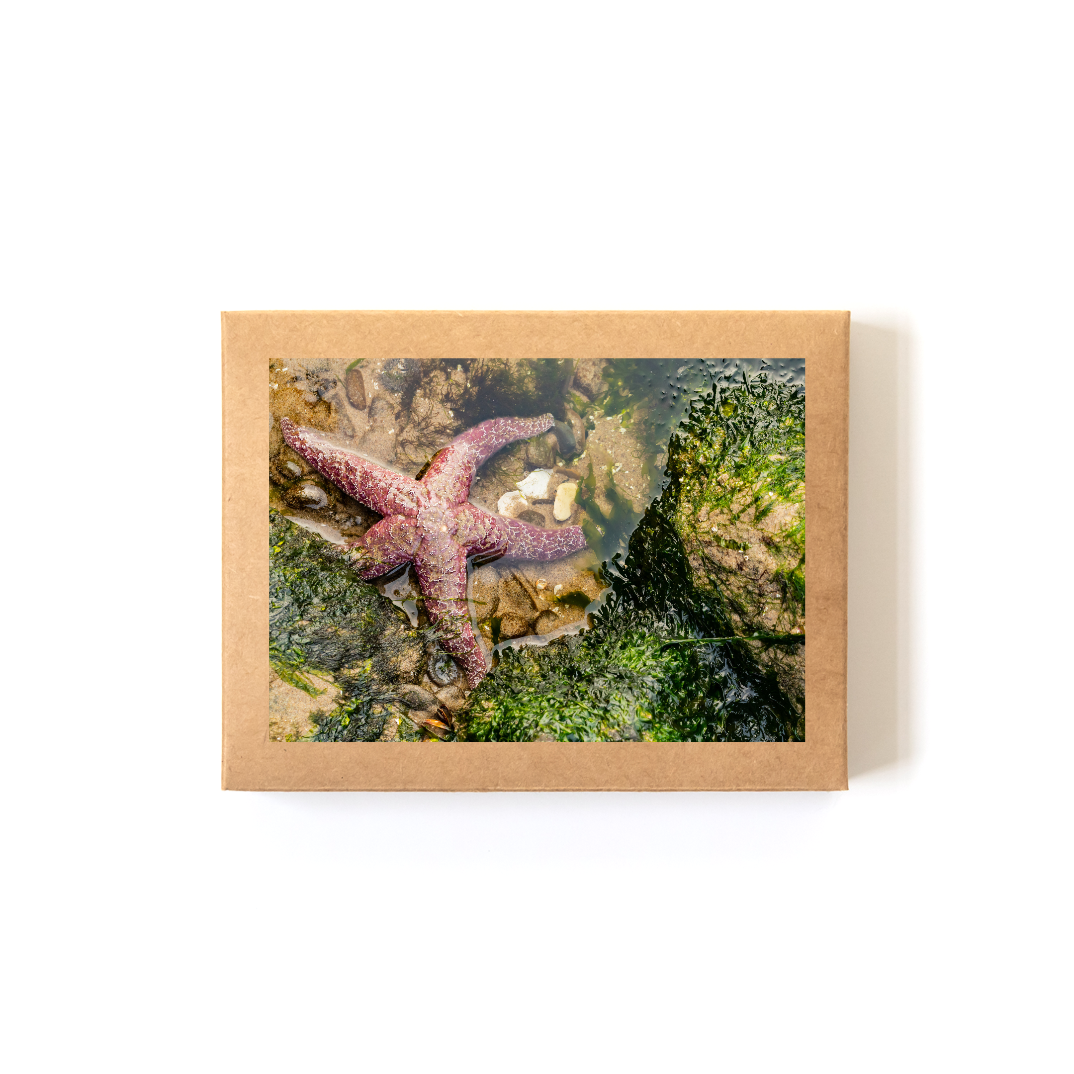 Unwind_Boxed Set.png