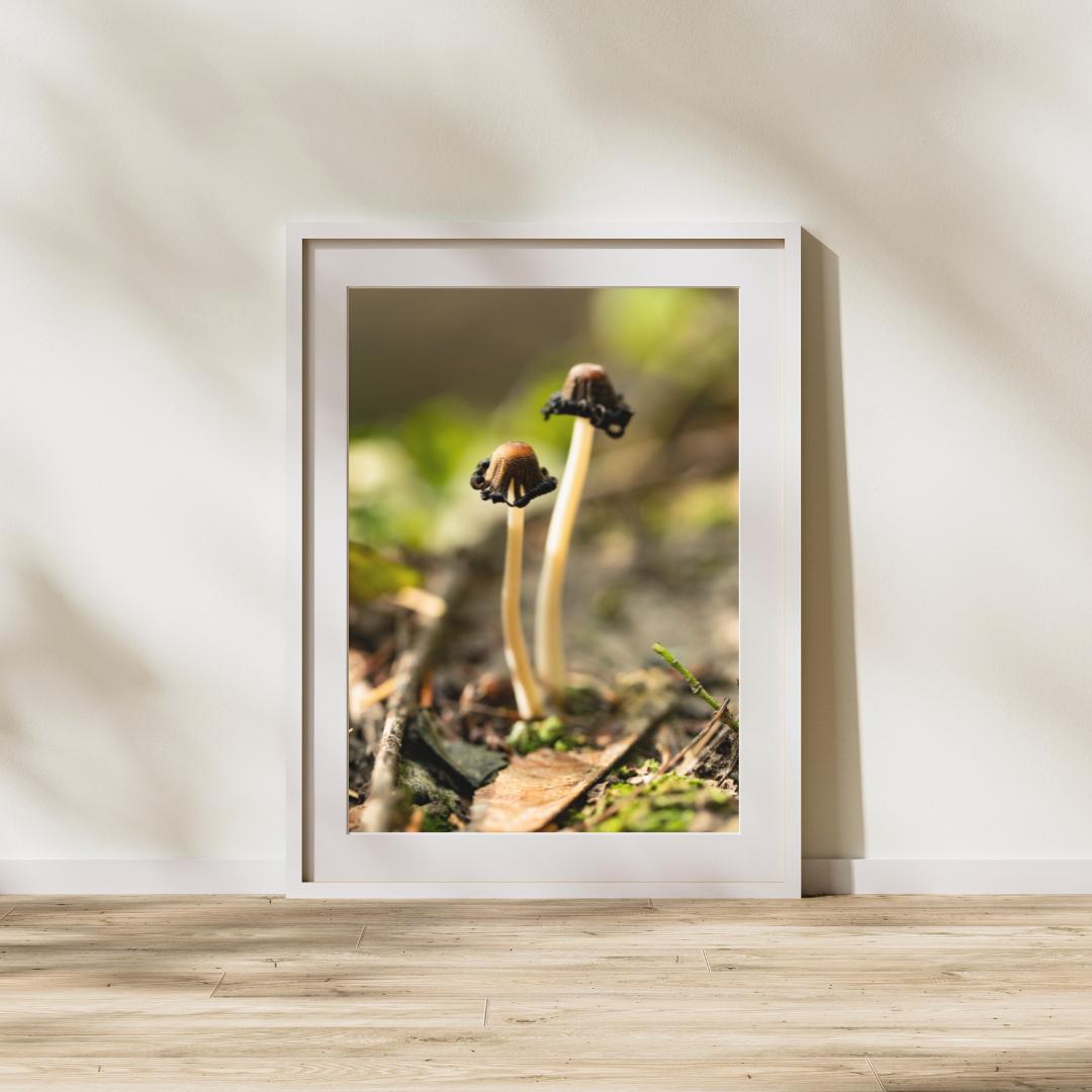 better together_Frame.png