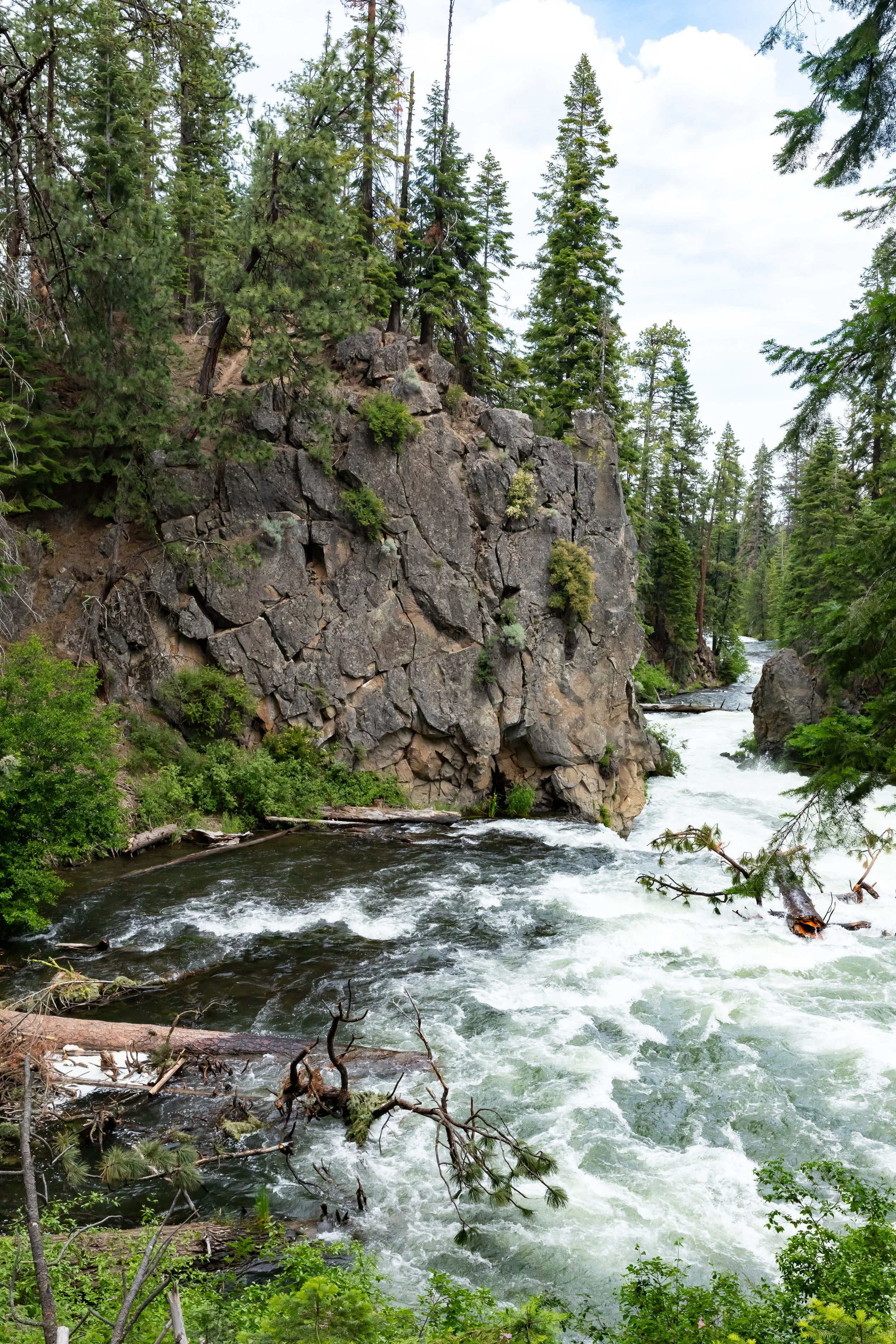 "Benham Falls III"