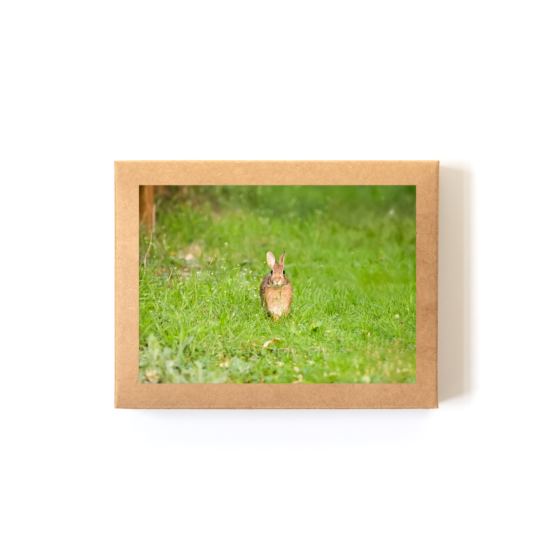 Spring Greetings_Boxed Set.png