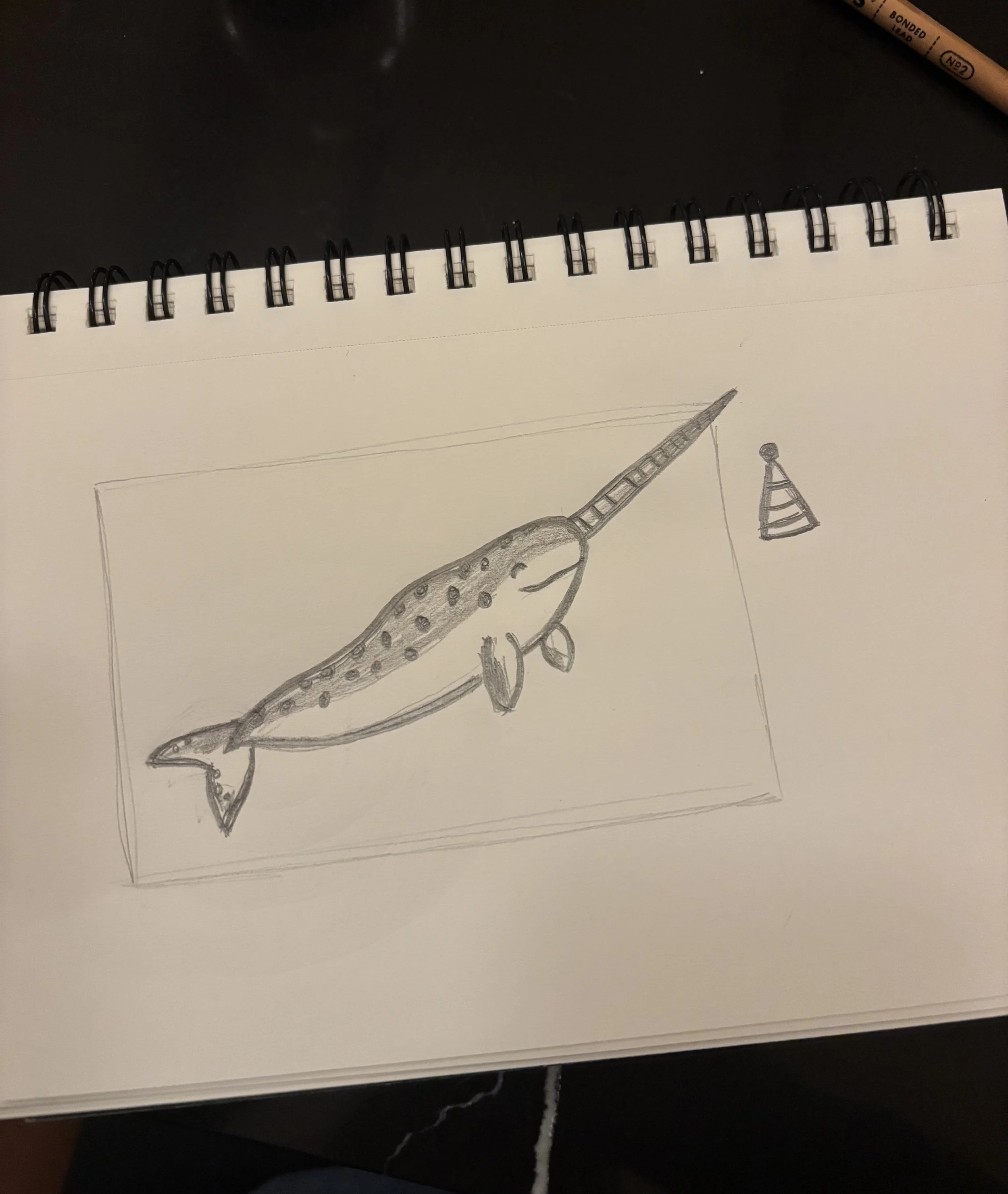 narwhal_2.jpeg