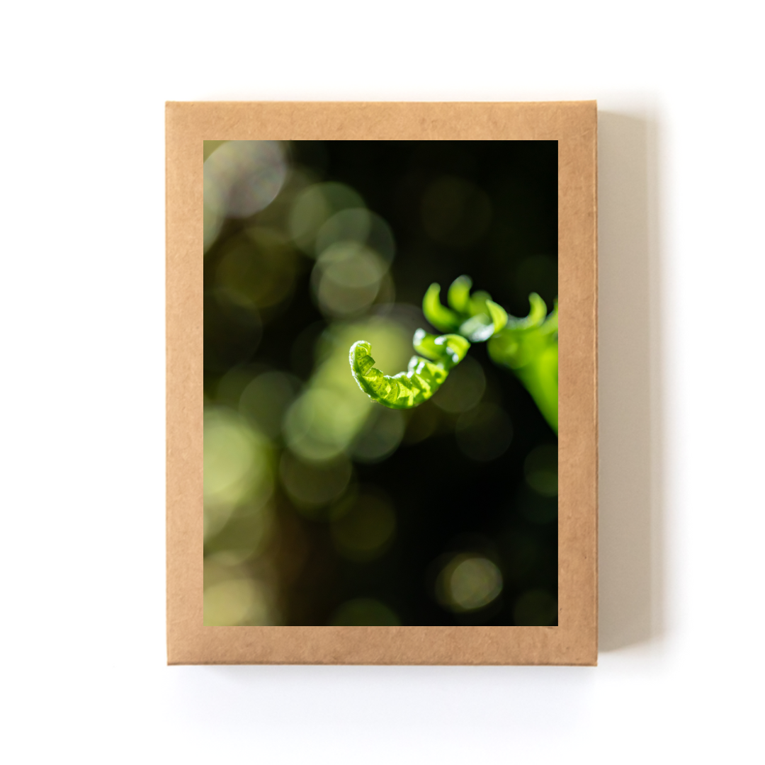 unfurl_Boxed Set.png