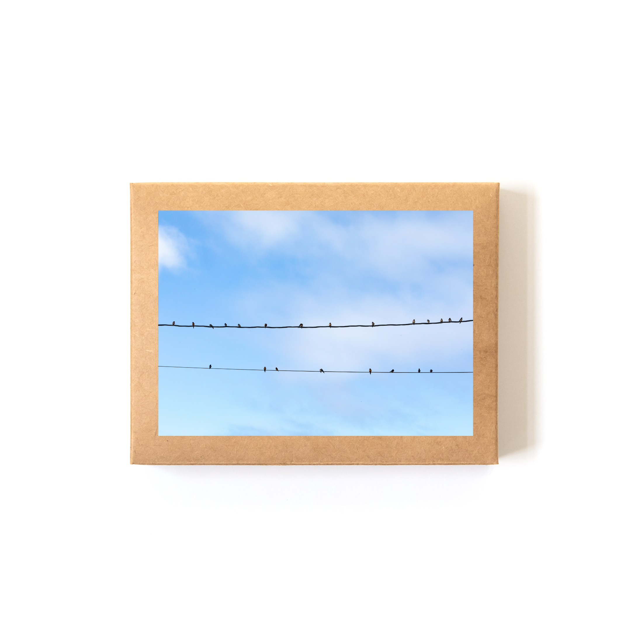 Attendance_Boxed Set.png