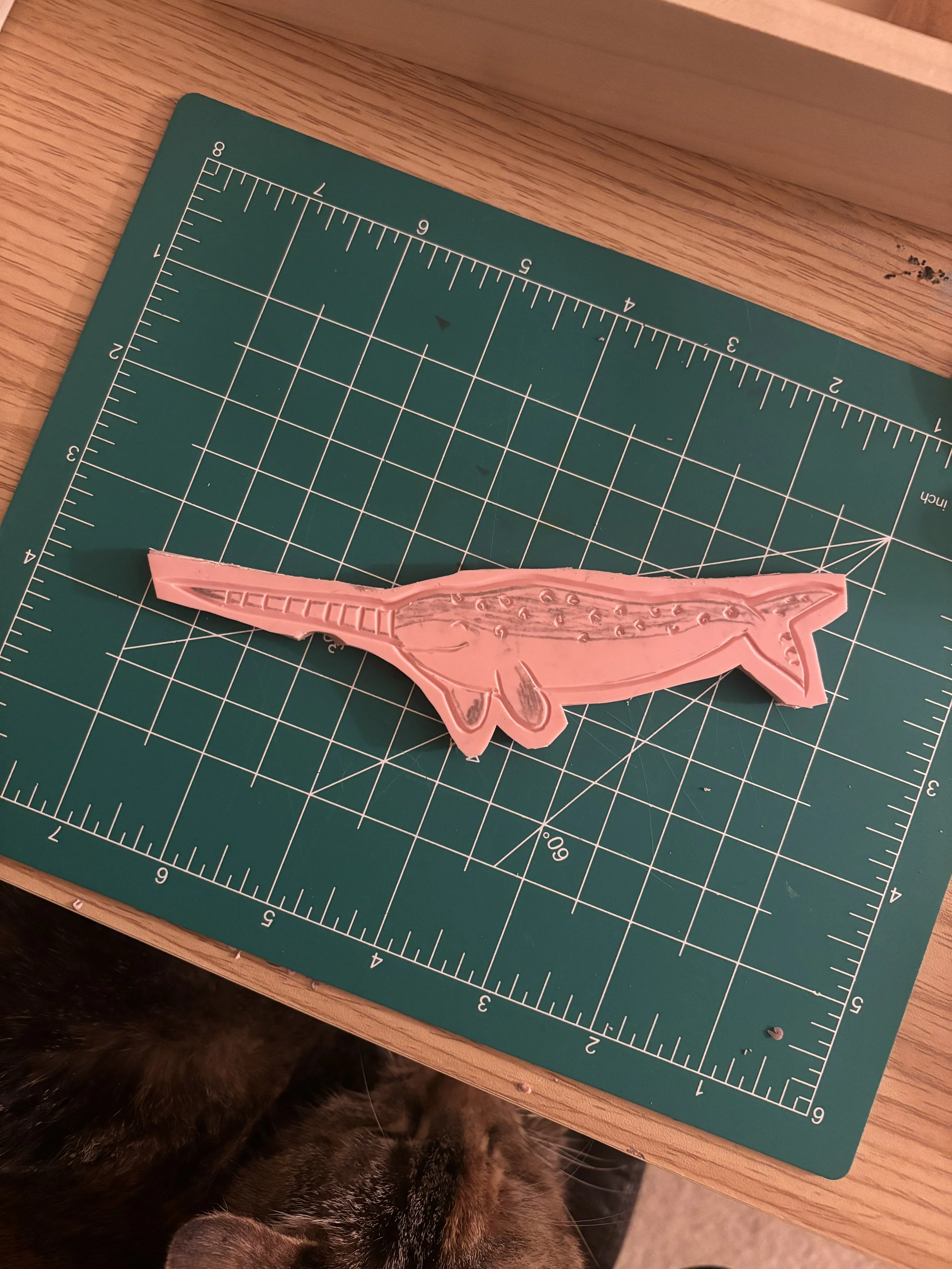 narwhal.jpeg