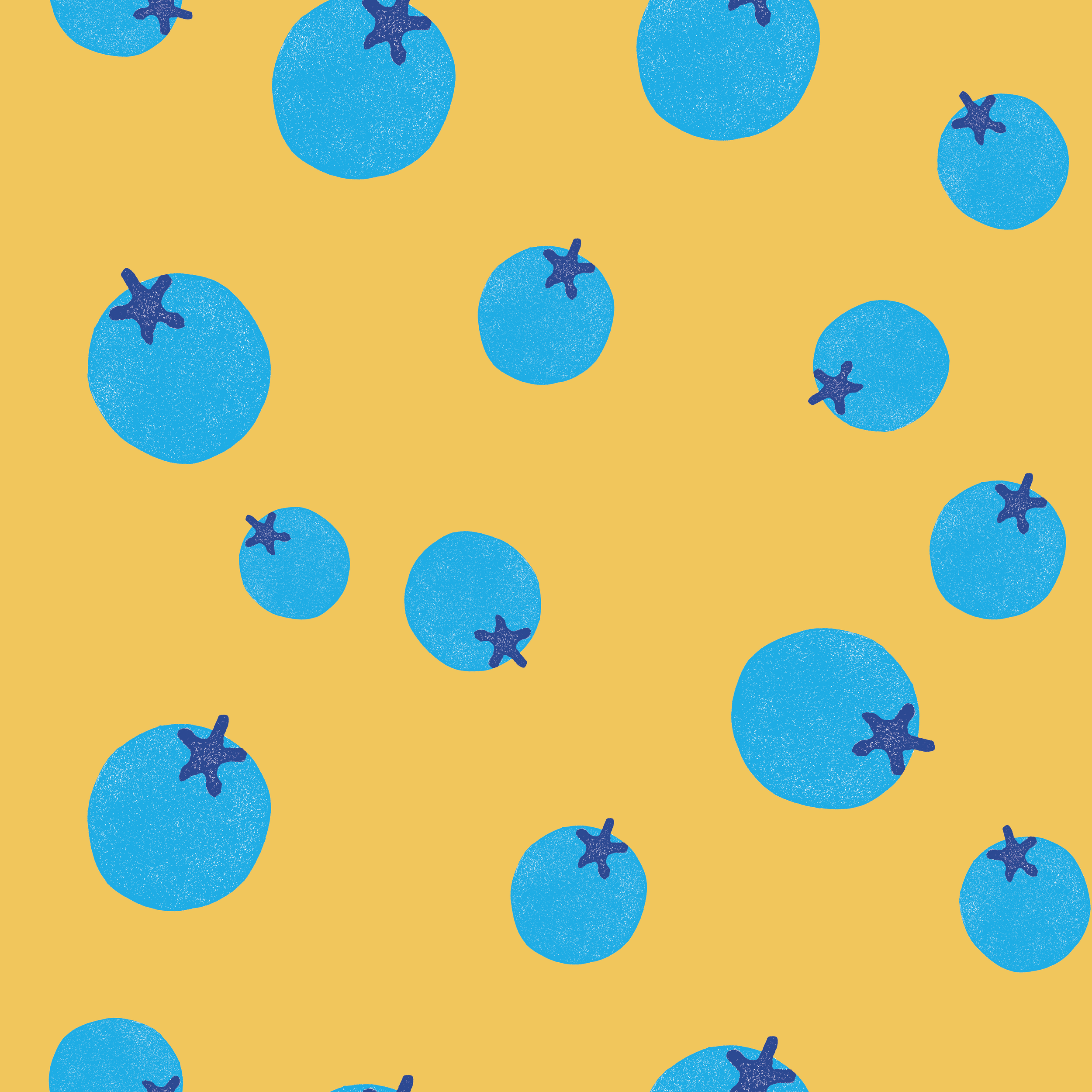 Blueberry fabric designed by Andrea Morris Studio