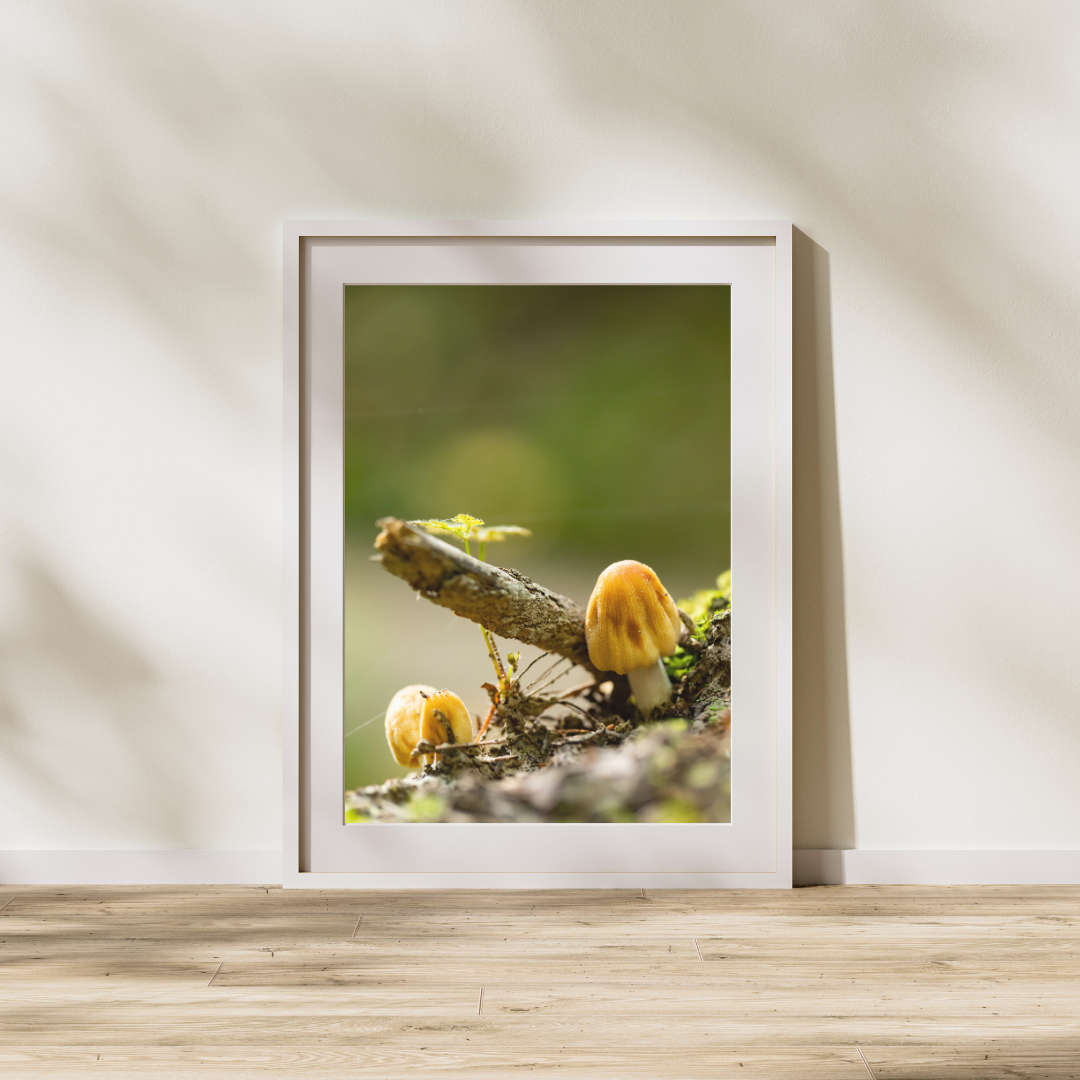 Time for a rest_Frame.png