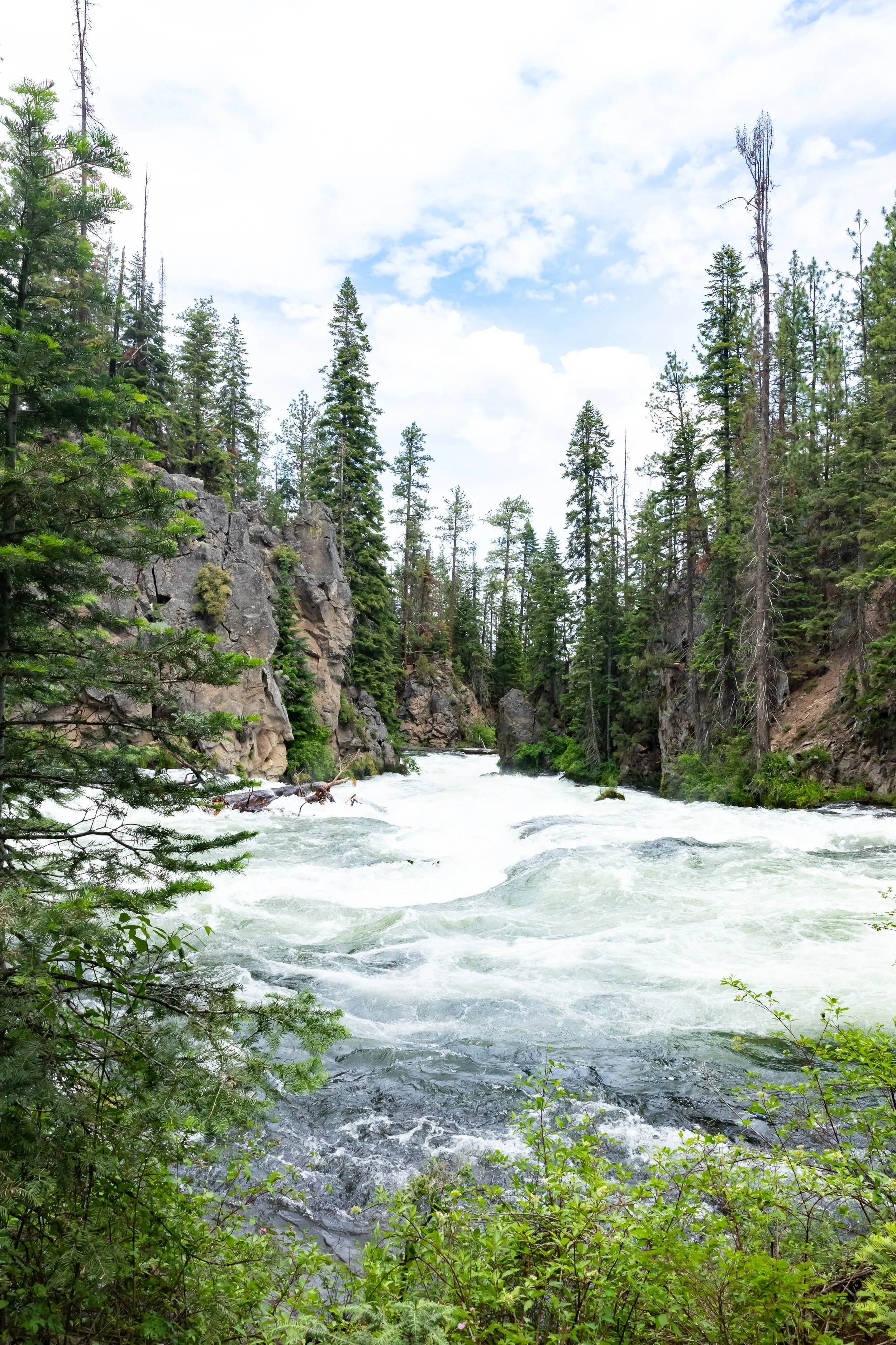 "Benham Falls II"