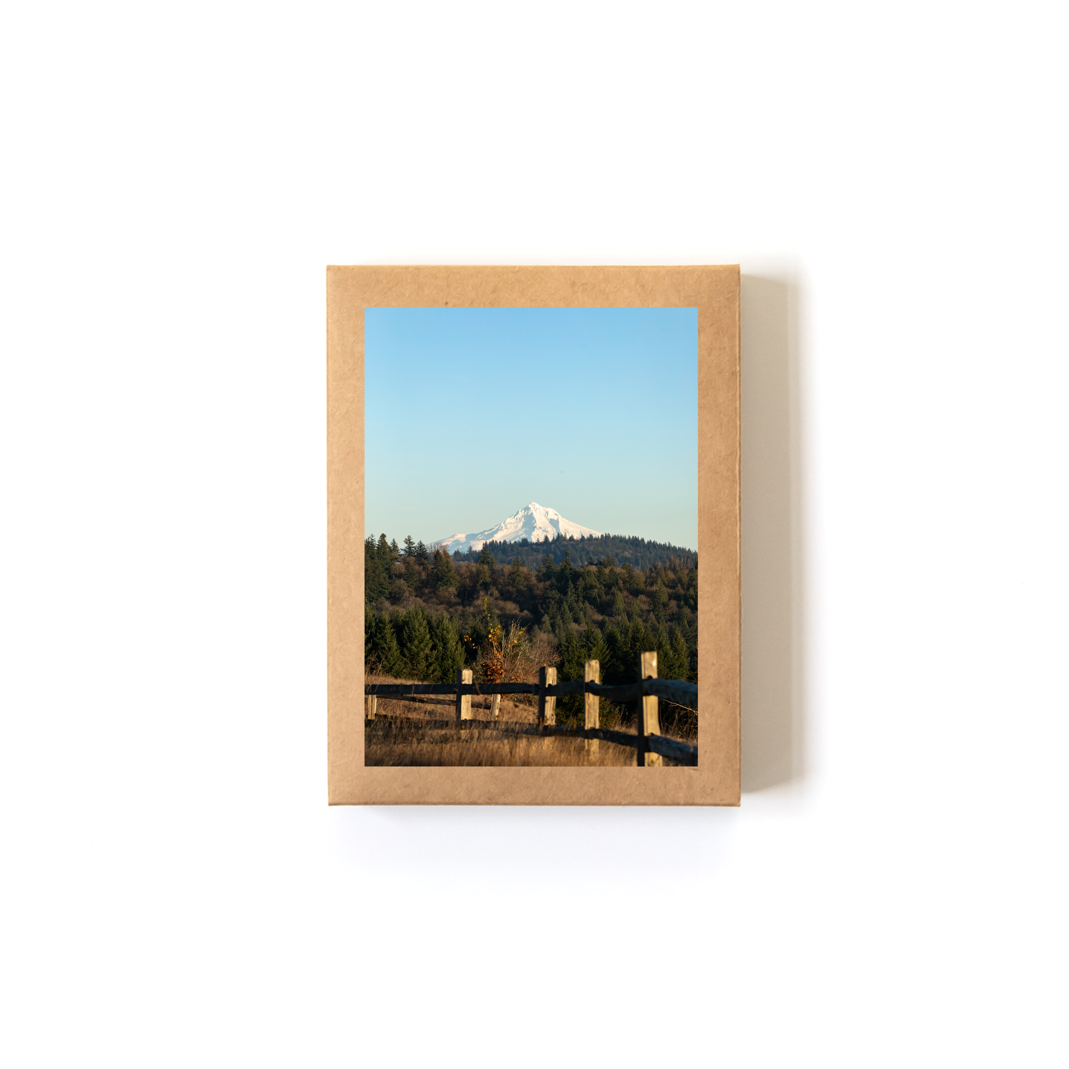 A Path Less Traveled_Boxed Set.png