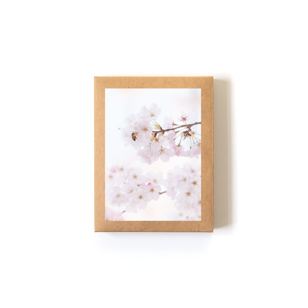 Celestial_Boxed Set.png