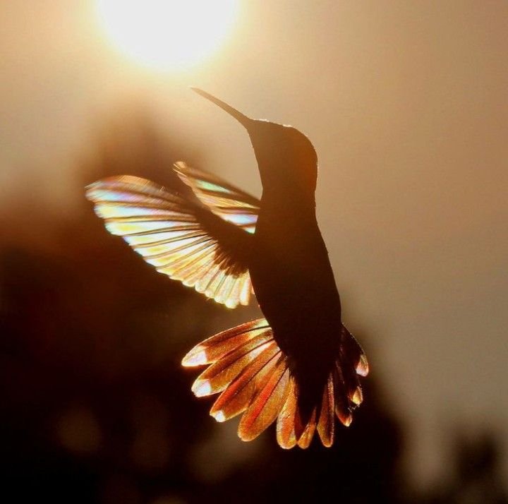 The Antidote for Existentialism and Nihilism: Hope