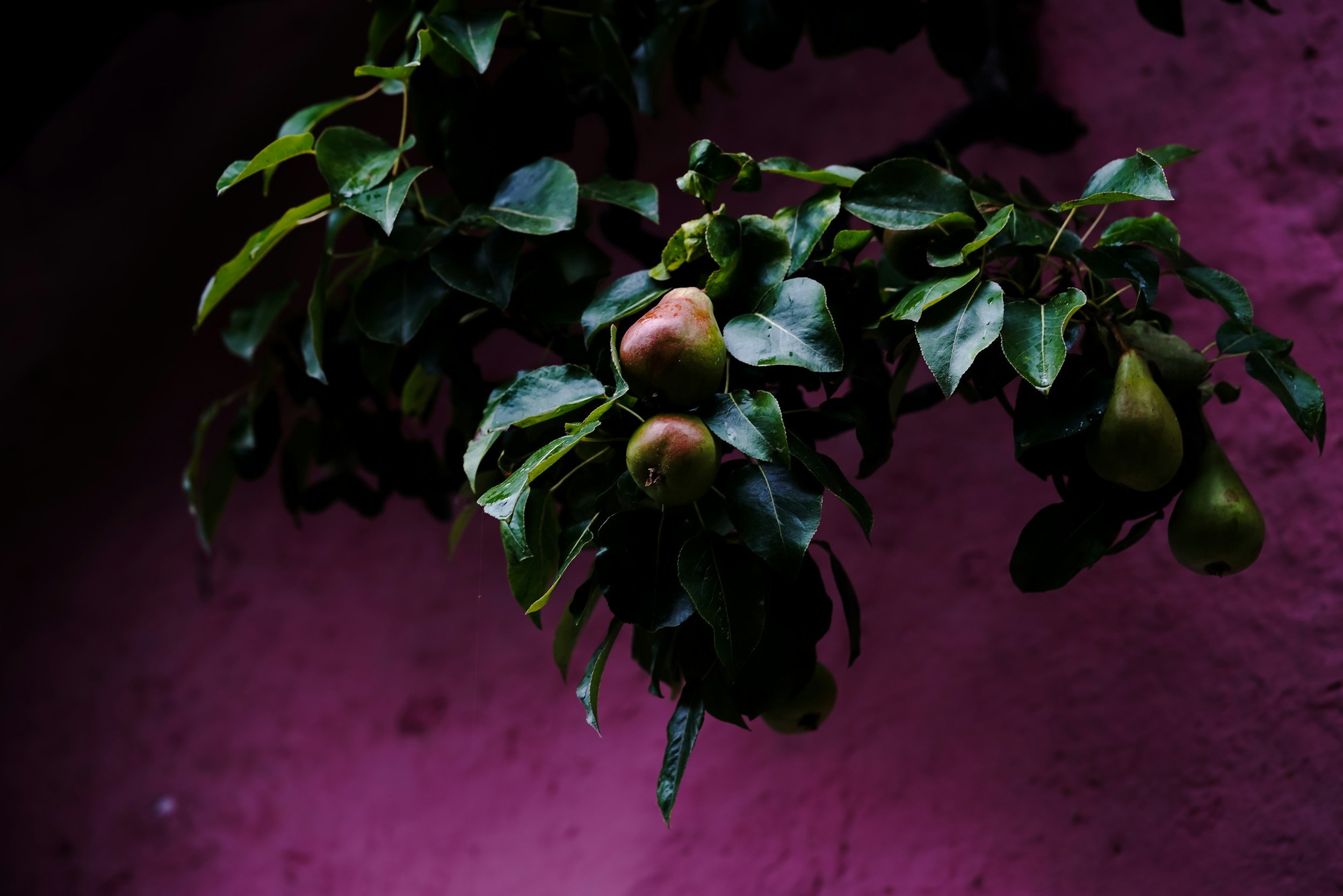unsplash-image-j7uY29mVfjc.jpg
