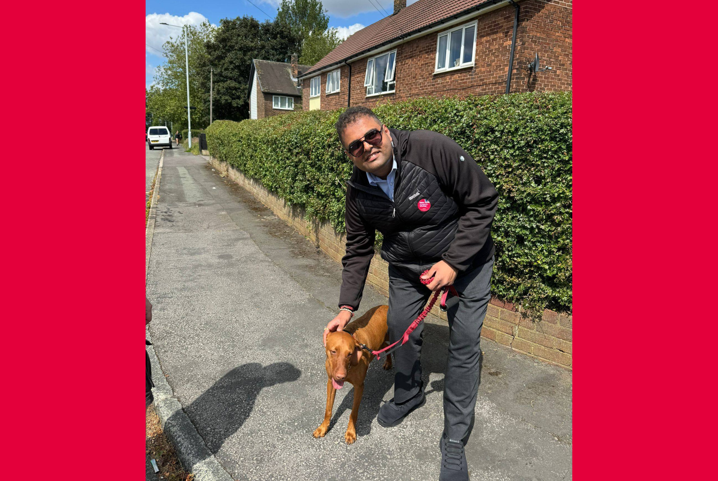 Labour’s Animal Welfare Strategy: protecting animals at home, on the farm, and in the wild