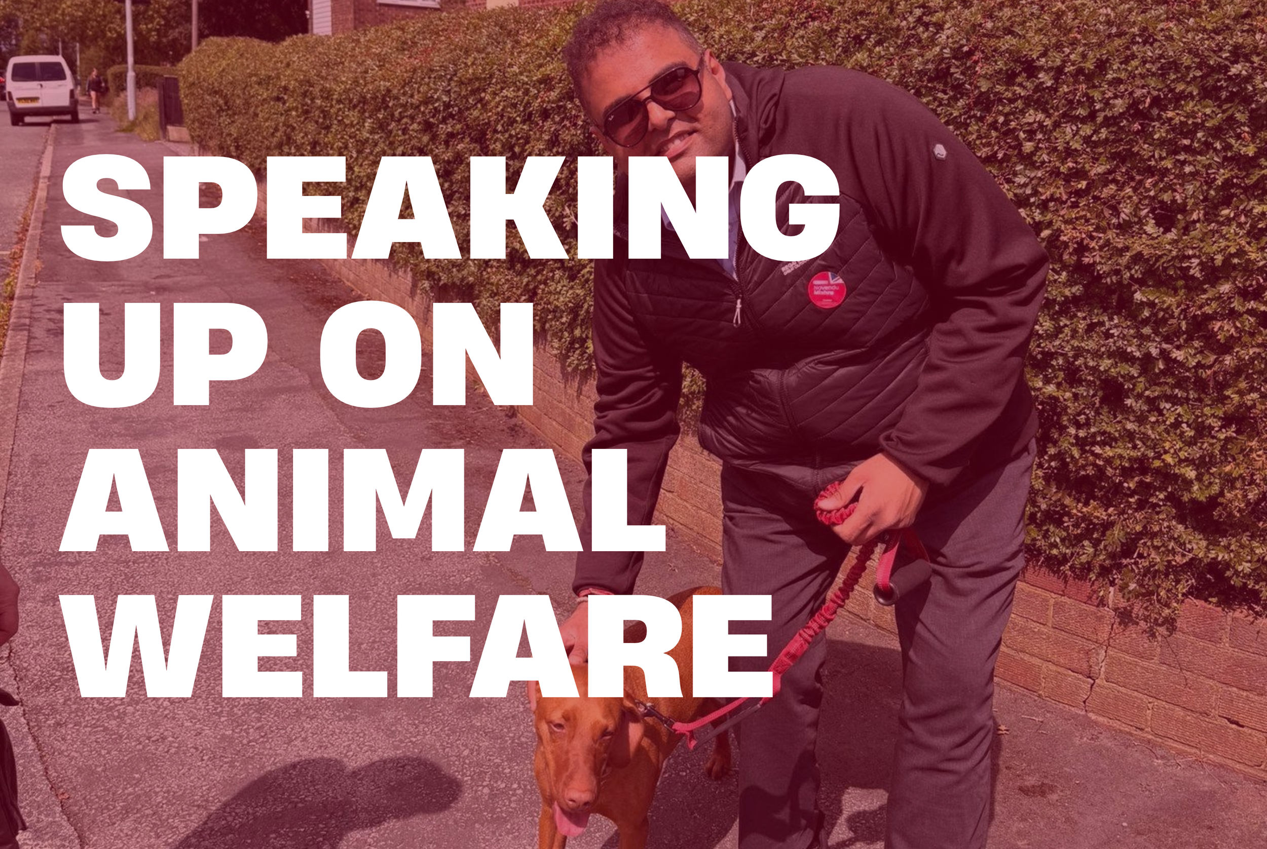 Speaking up on Animal Welfare