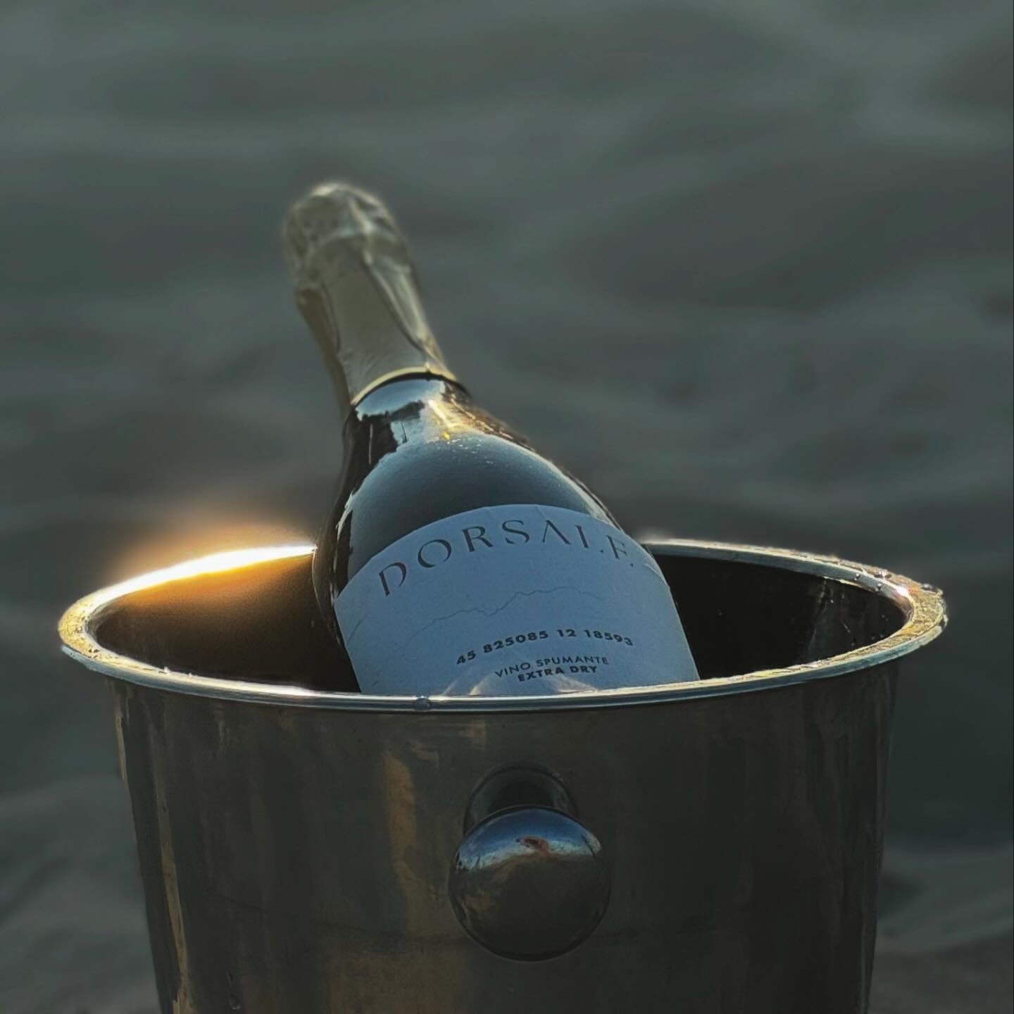 Cheers to this exciting summer with Dorsale at @bollamare #dorsalewines 
#italianwine

#wine #proseccodocg #rosetodegliabruzzi 

#sommelier #winery #vino #winetasting #cantina #wines
#spumante
#vinitaly #treviso #valdobbiadene #wedding
#prosecco #doc