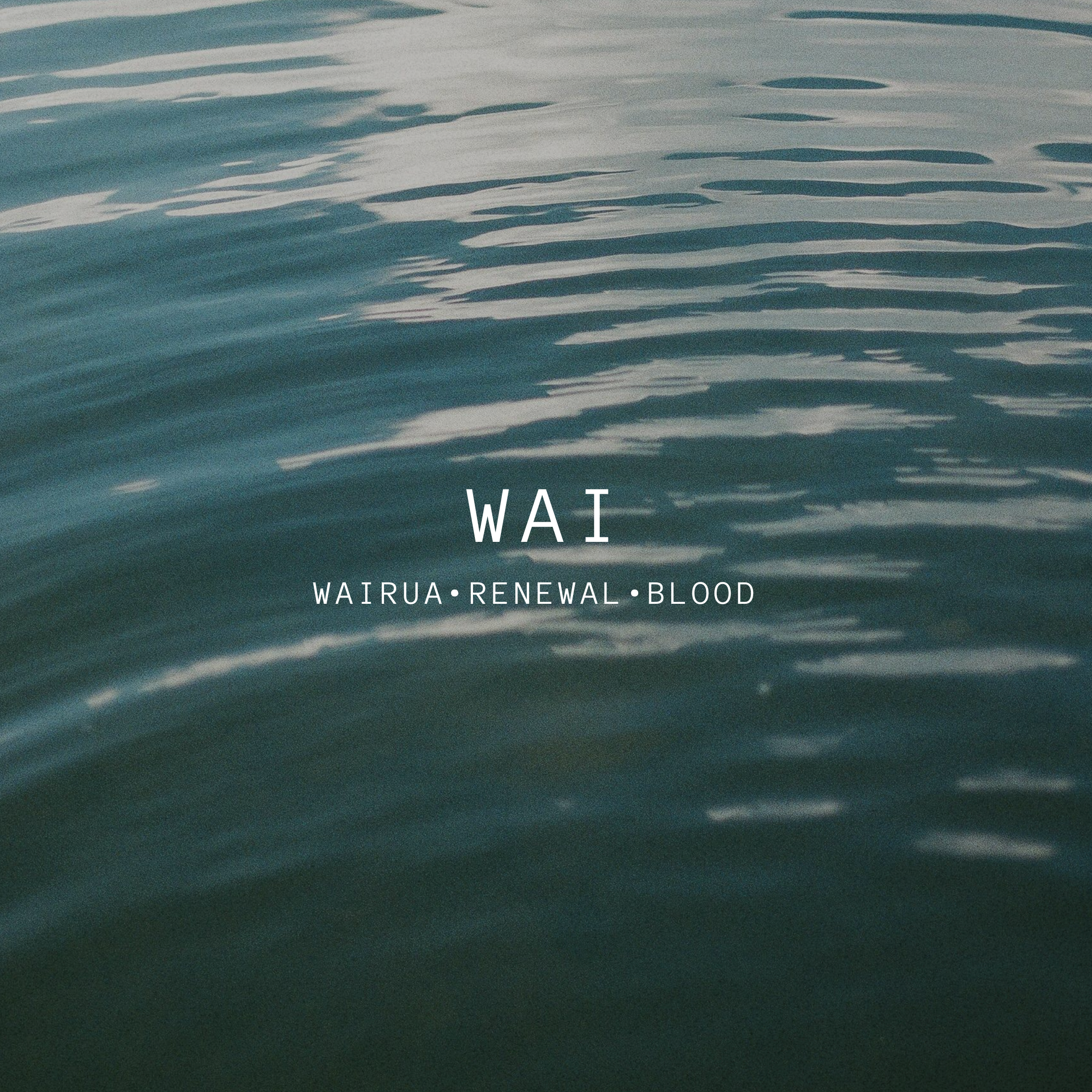 WAI: traverse the wisdom of water
