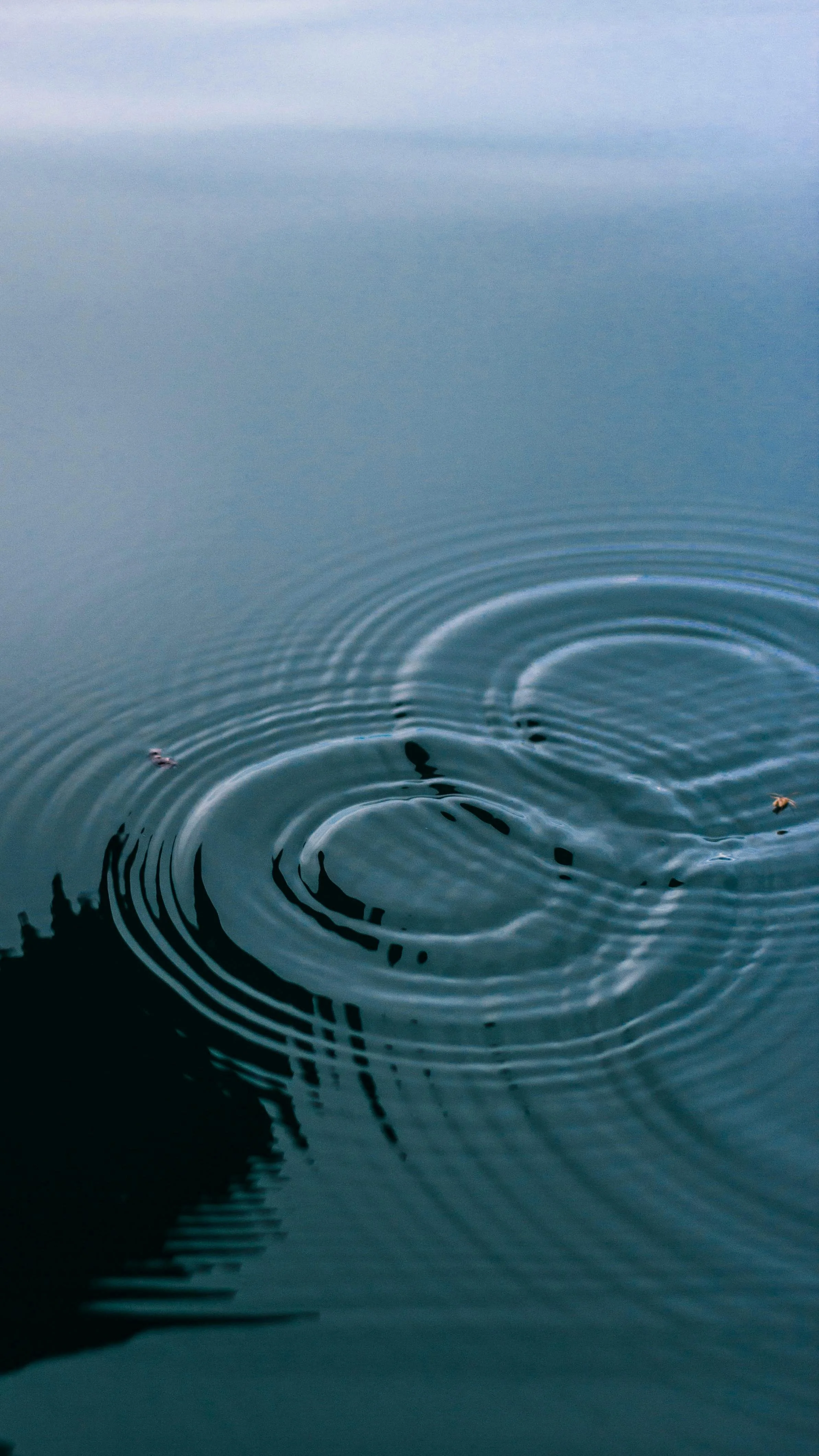 WAI: the waters within