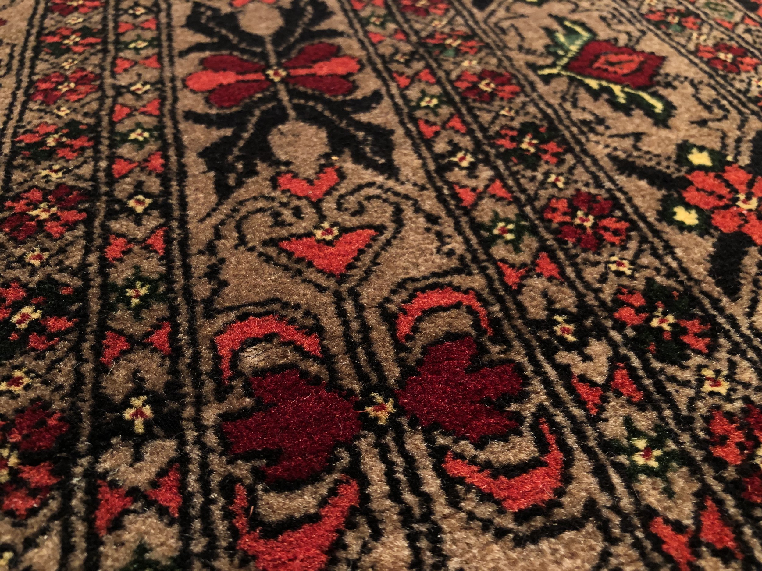 IMG_3856.jpeg