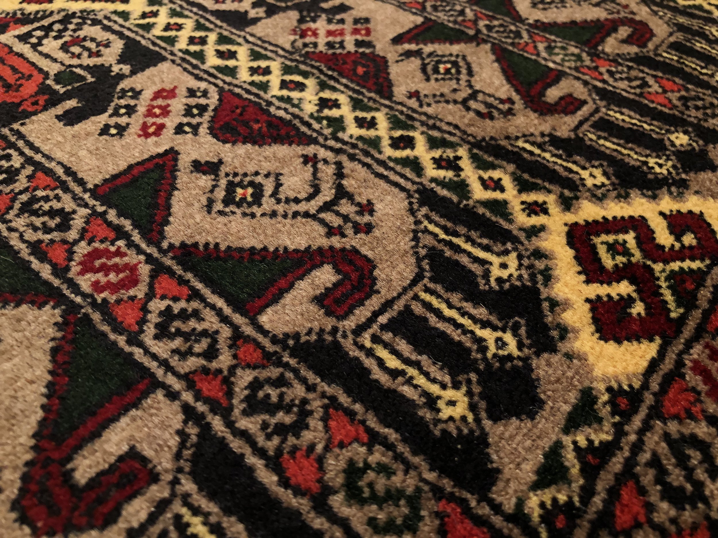 IMG_3869.jpeg