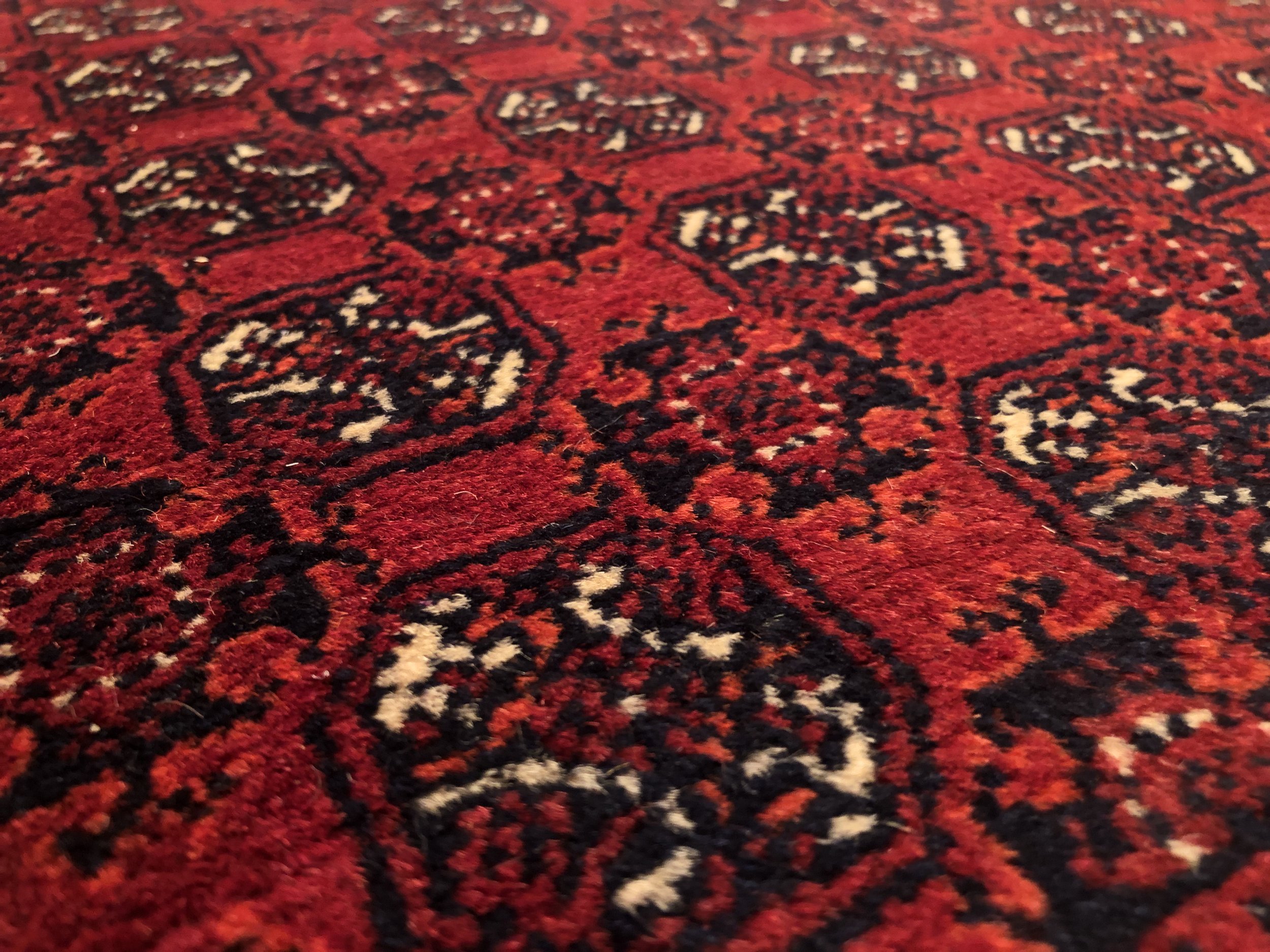IMG_5074.jpeg
