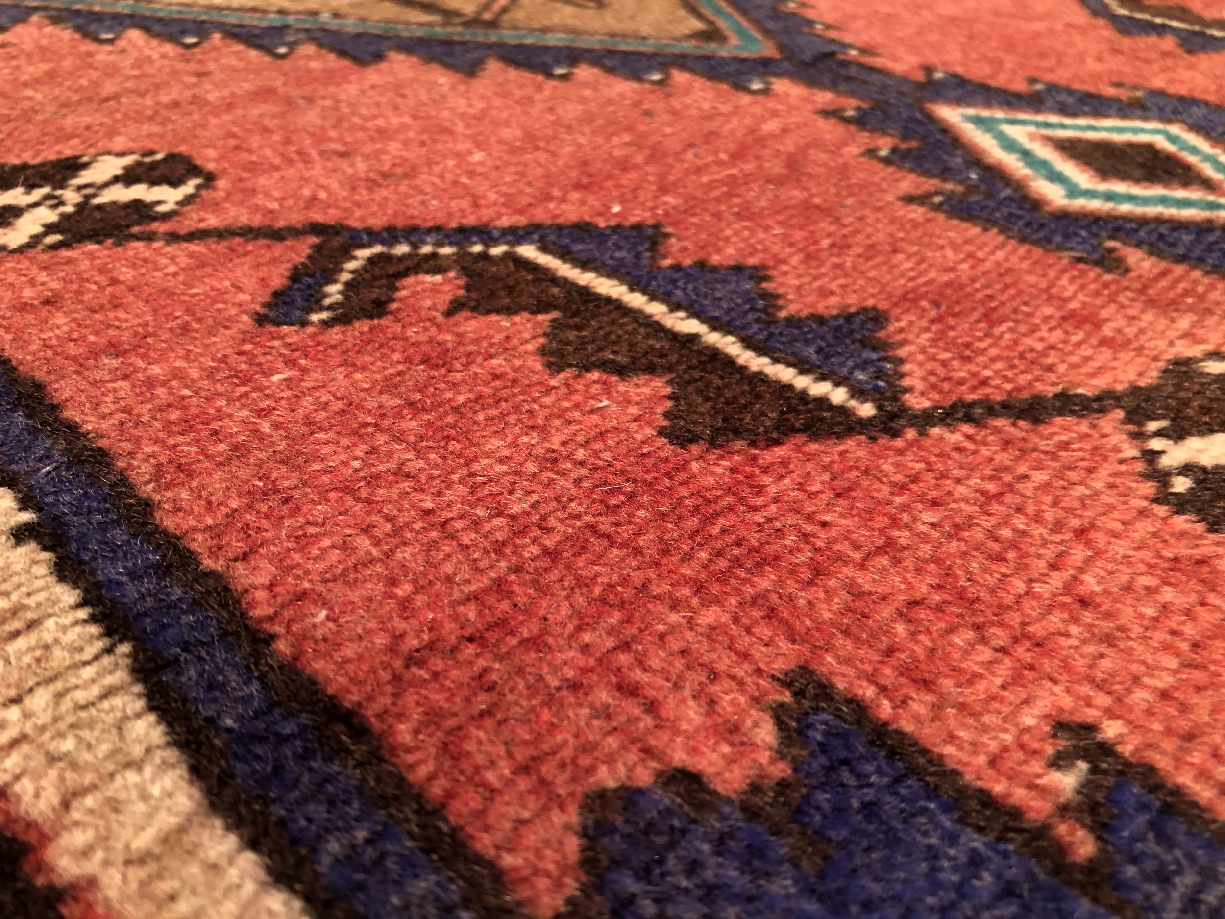 IMG_7953.jpeg