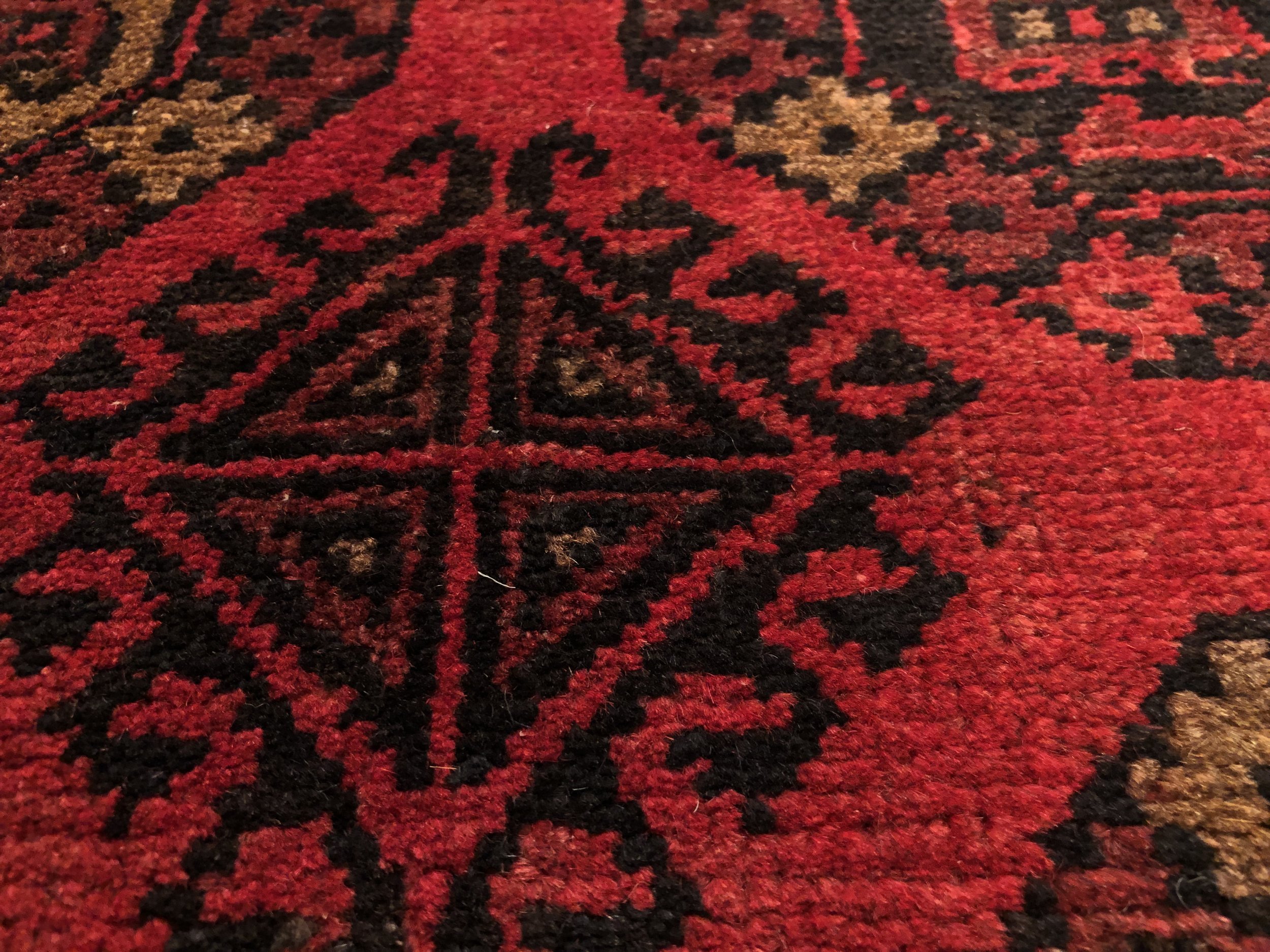 IMG_7198.jpeg