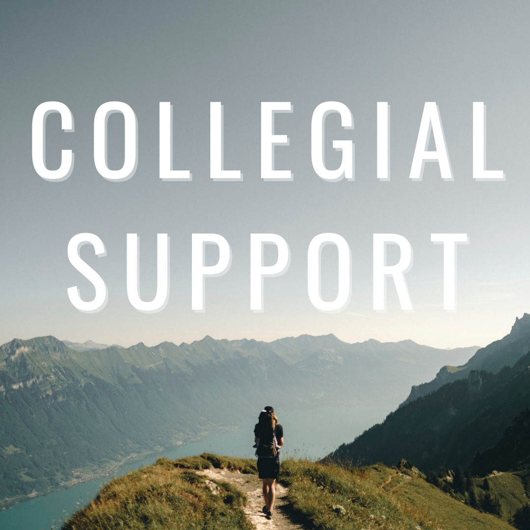 COLLEGIAL SUPPORT