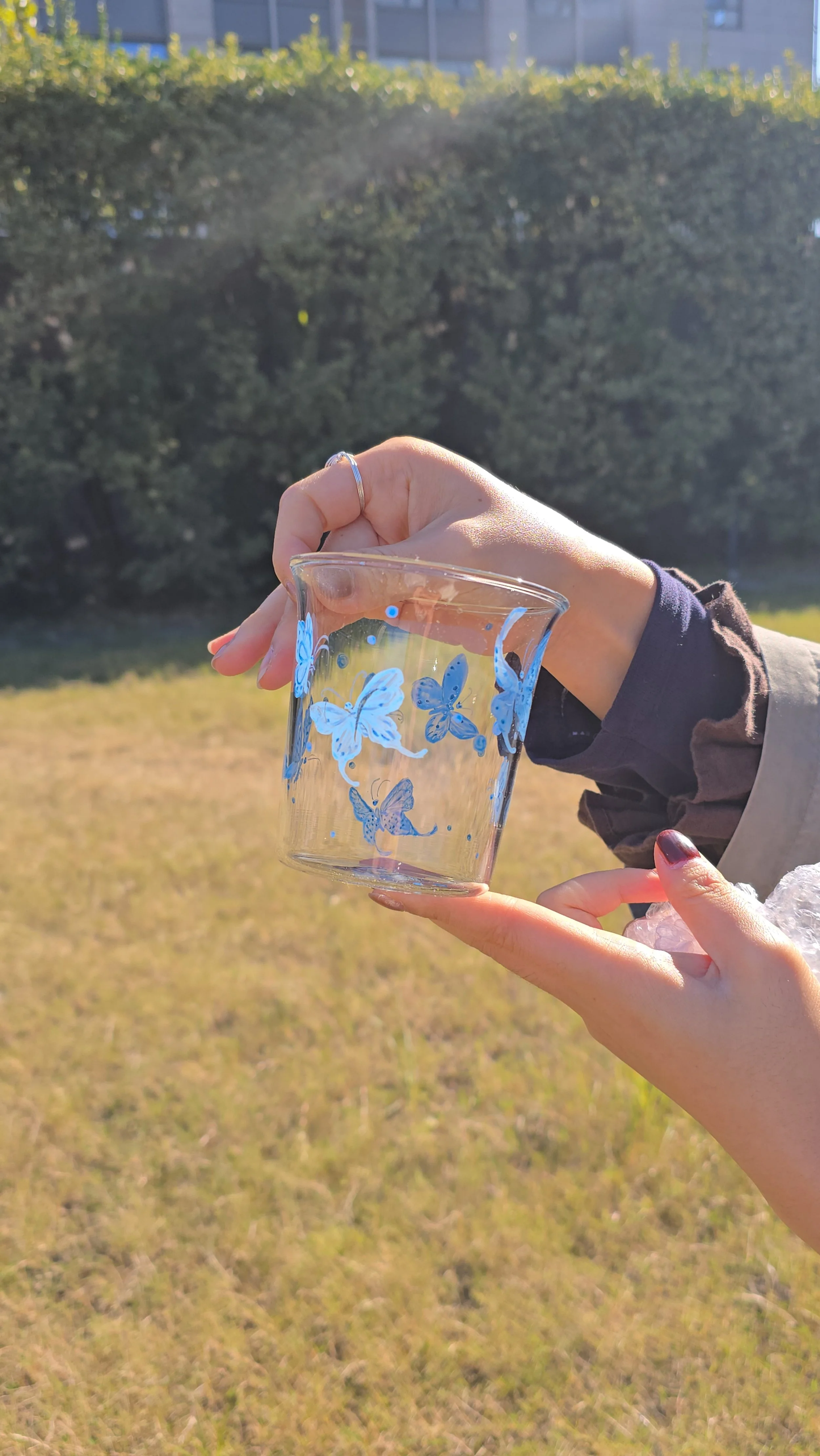 A photograph of someone's hand holding up a glass cup in a field. The glass cup is adorned with delicately painted blue butterflies.