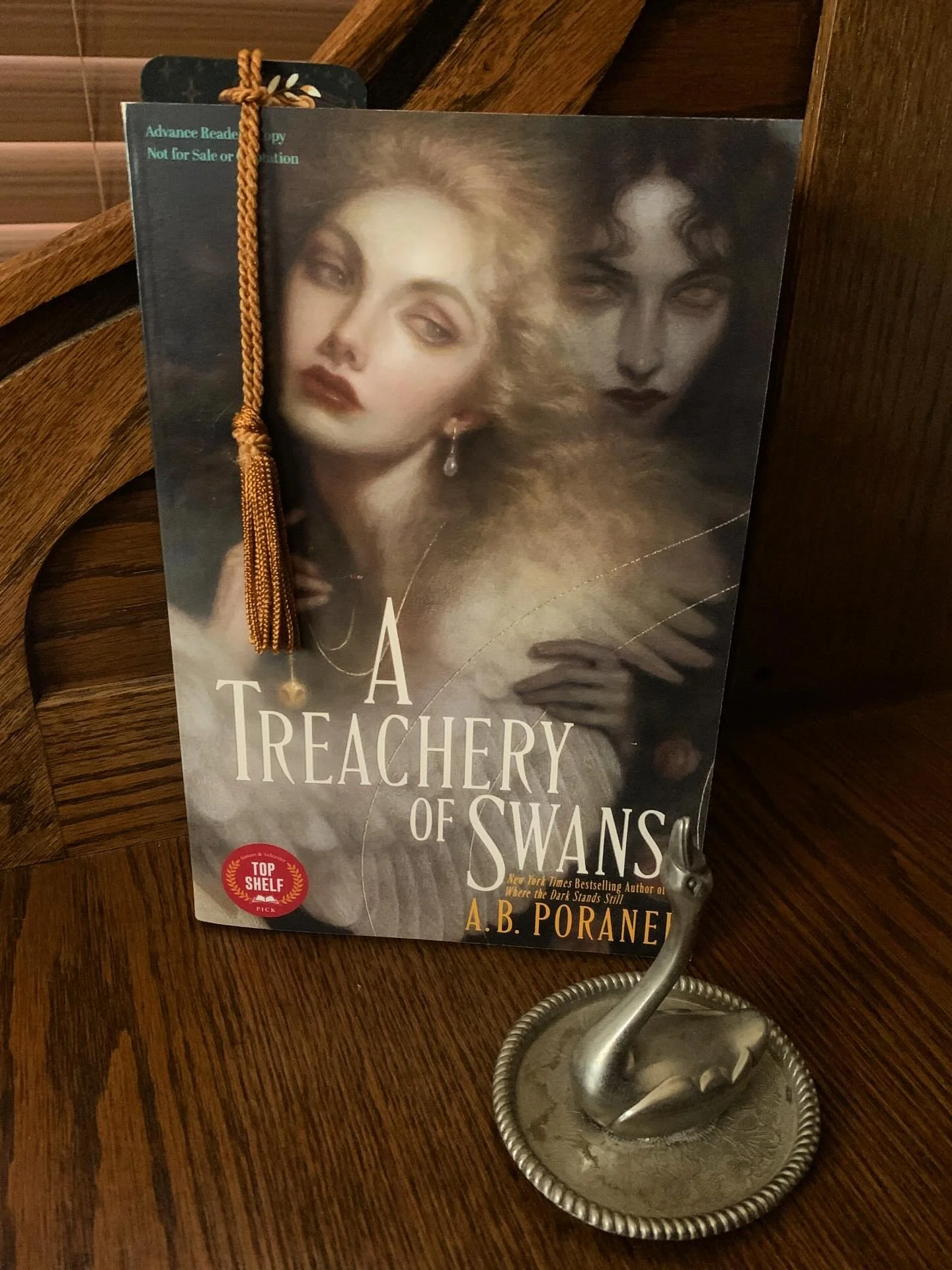 🦢 September Book Pick: A TREACHERY OF SWANS by @abporanek 🦢

Can two girls&mdash;one enchanted, one the enchantress&mdash;save their kingdom and each other?

Two hundred years ago, a slighted deity stole the magic from Aur&eacute;al and vanished wi