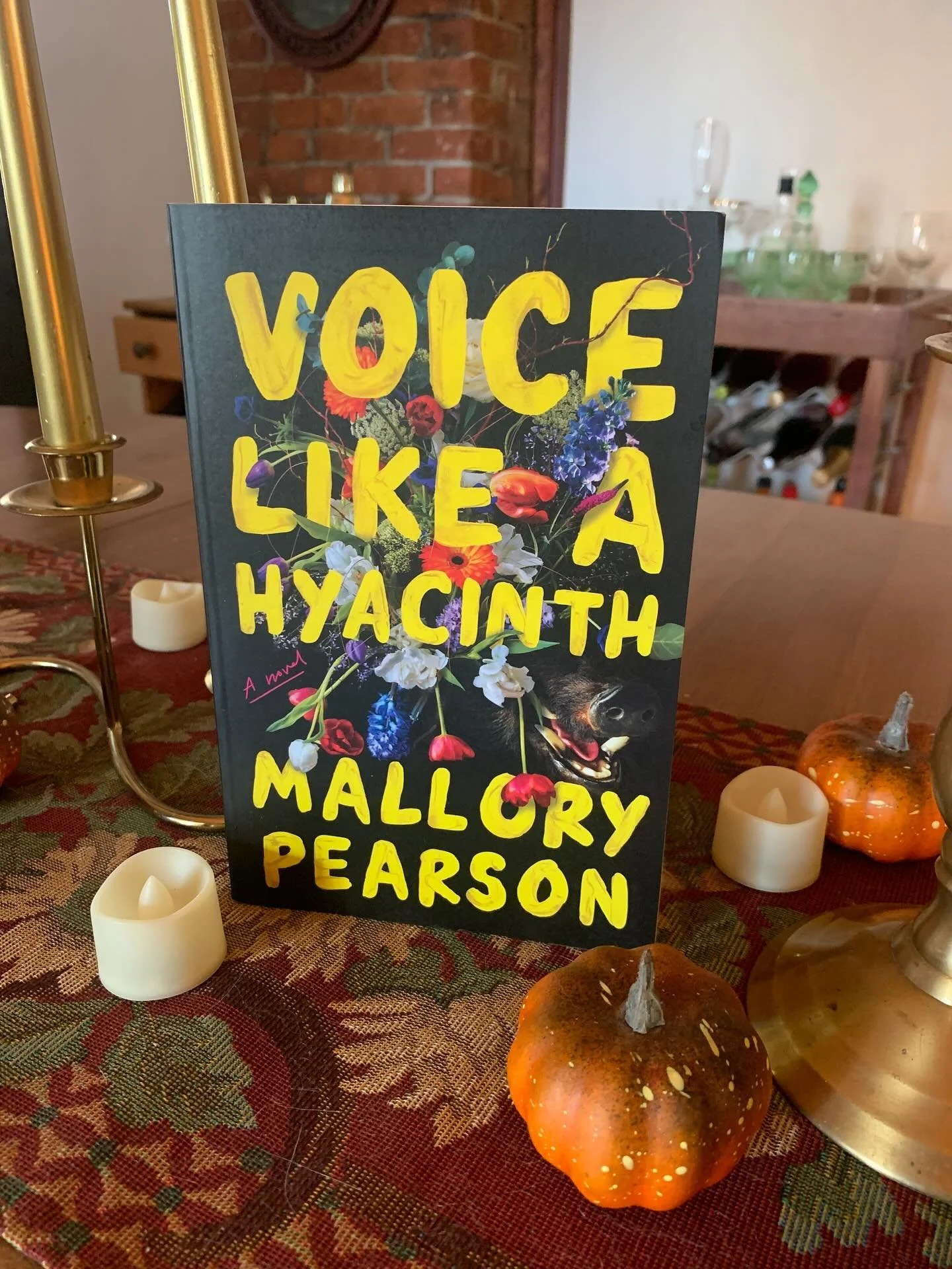 I was able to pick up our October Book Pick: VOICE LIKE A HYACINTH at @alwaysherebooks! I cannot wait to dive into it—one of our members read the book earlier this year and loved it, so it has been eagerly anticipated ðĨ
•
Five young women