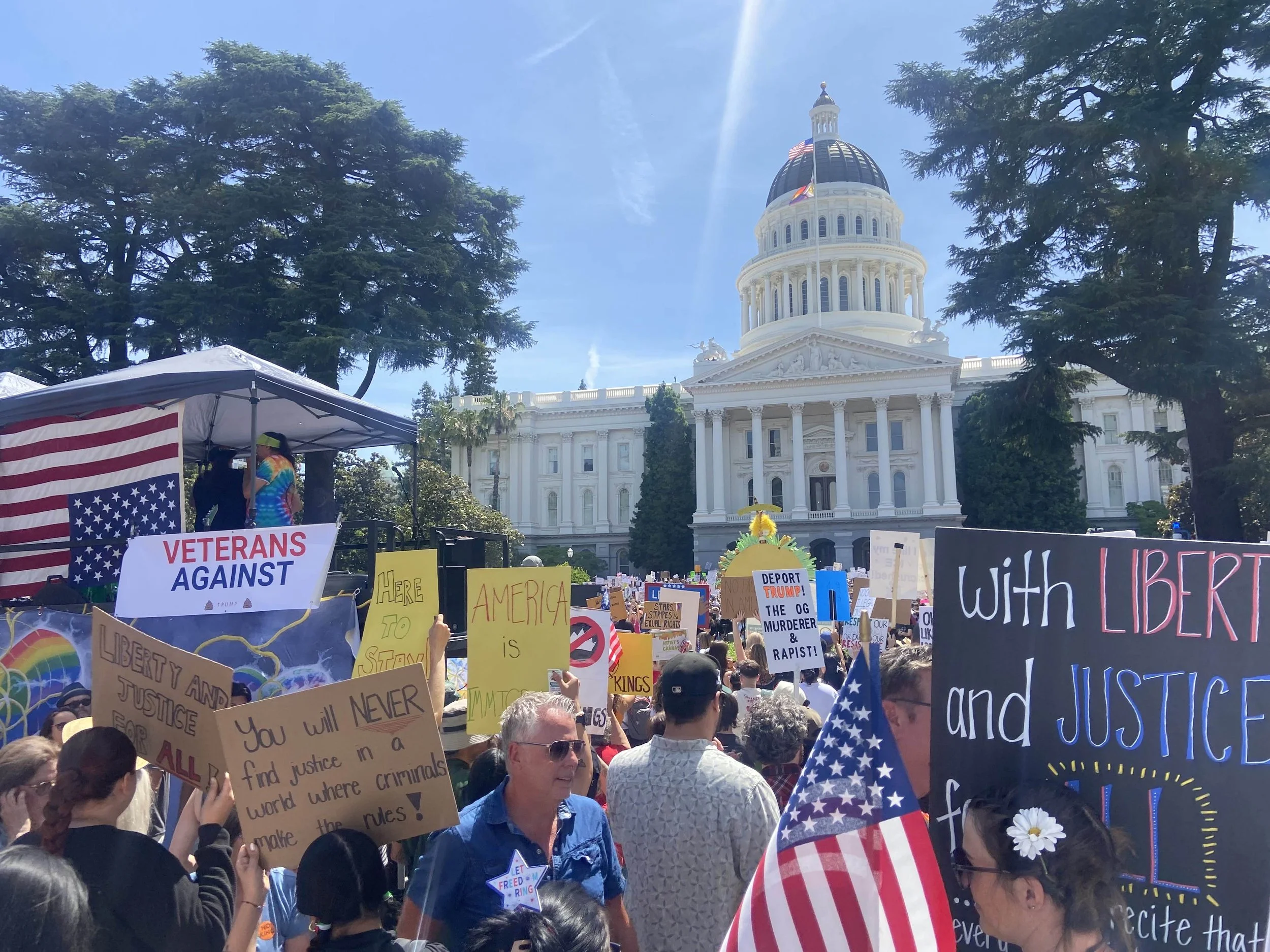 Protestors at the No Kings Rally in front of the Capital Building in Sacramento.