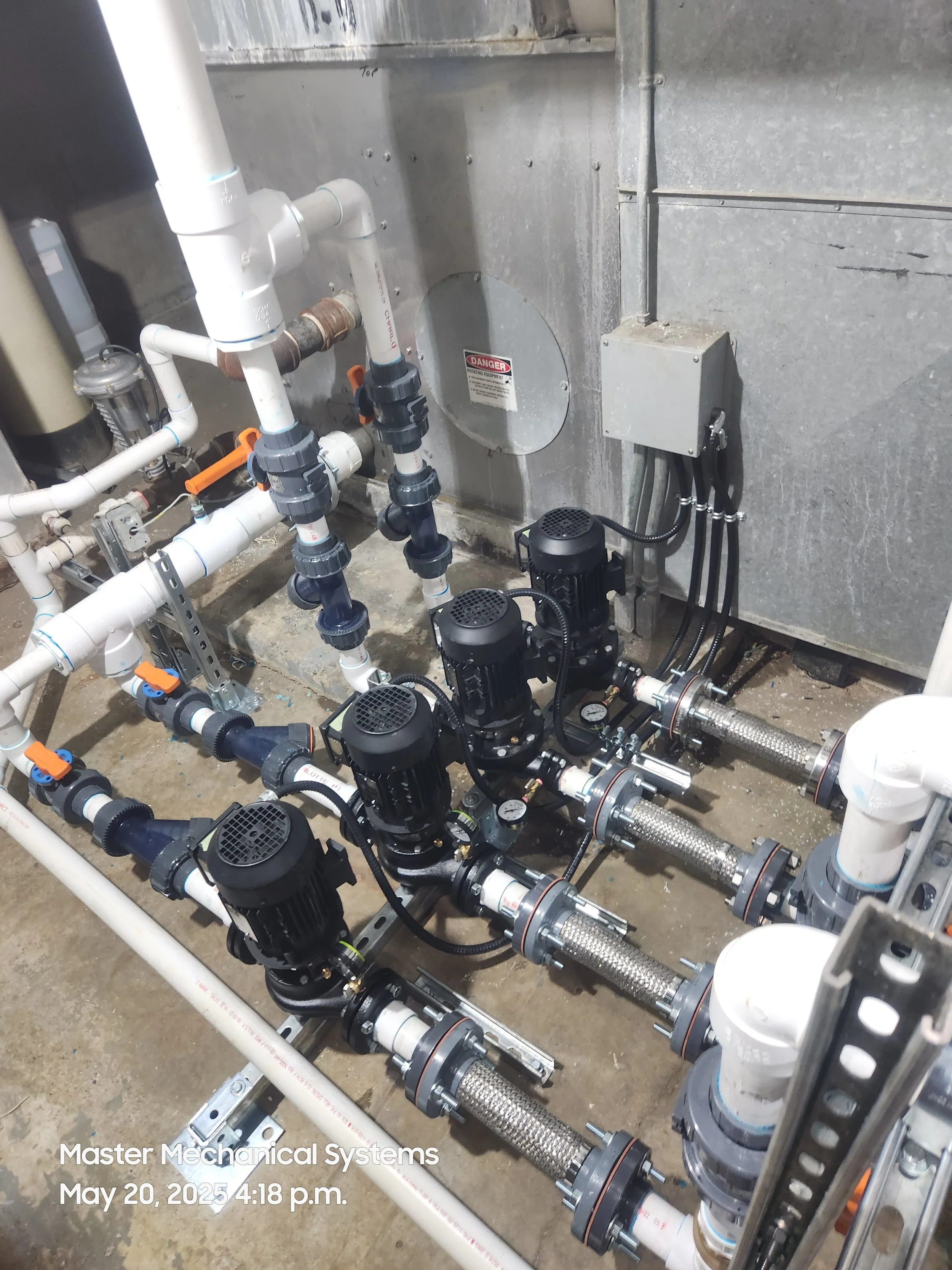 20250520_161856 - Copy.jpg