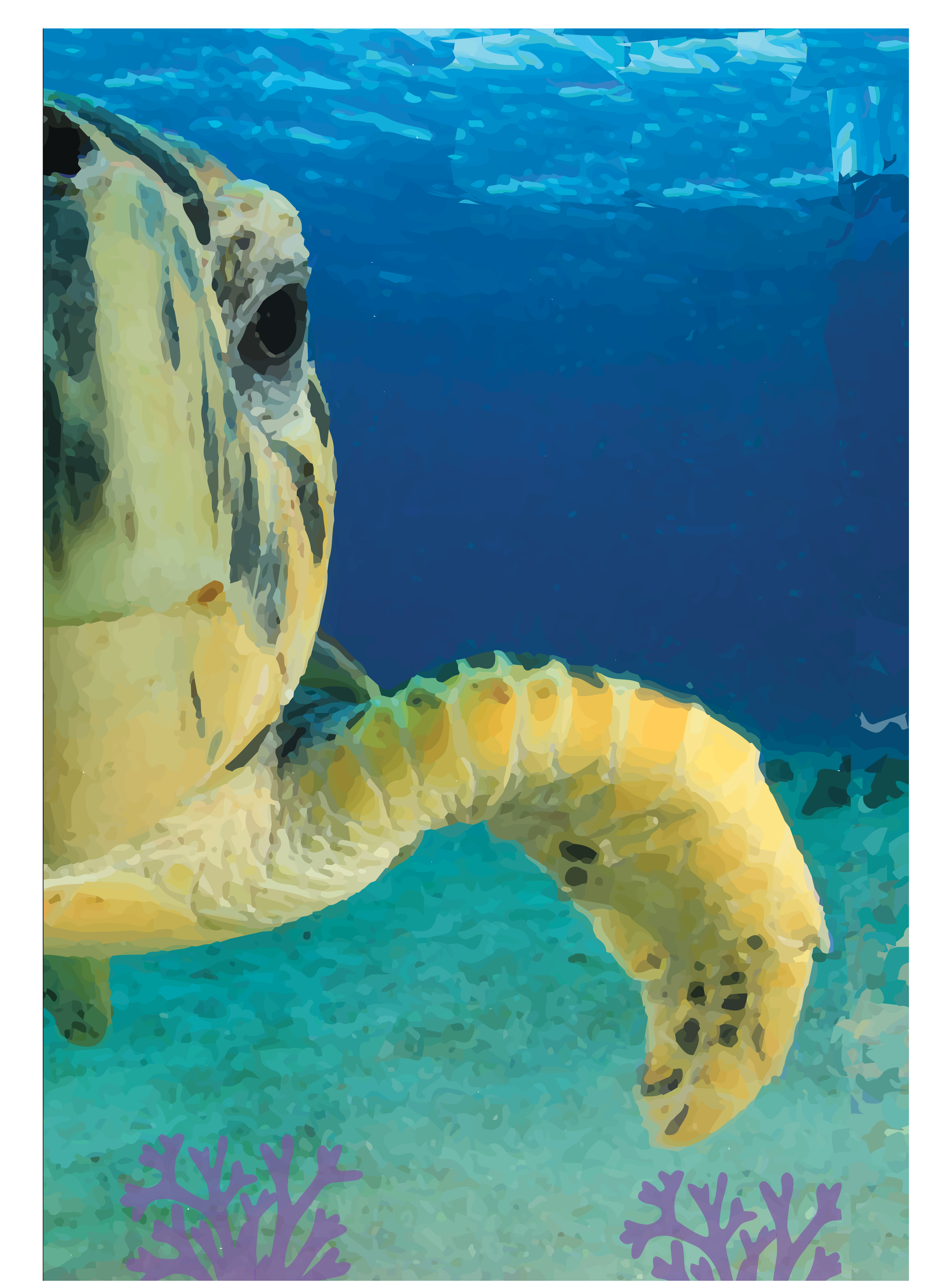 Pollution Ad Campaign- Showing society the good and the bad of endangered animals and leading them to a source in which they can be informed on how they can lend a helping hand.