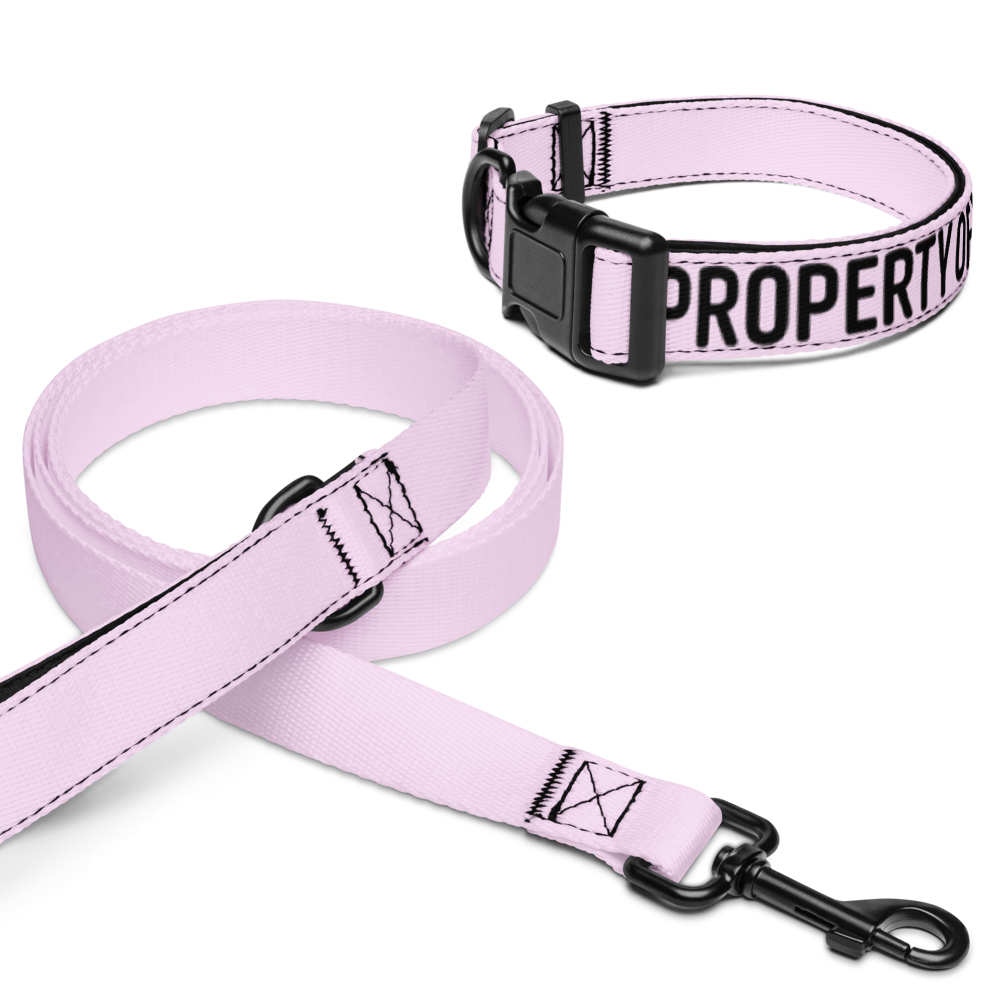 pet-collar--leash-white-l-front-68cda2eb25710.png