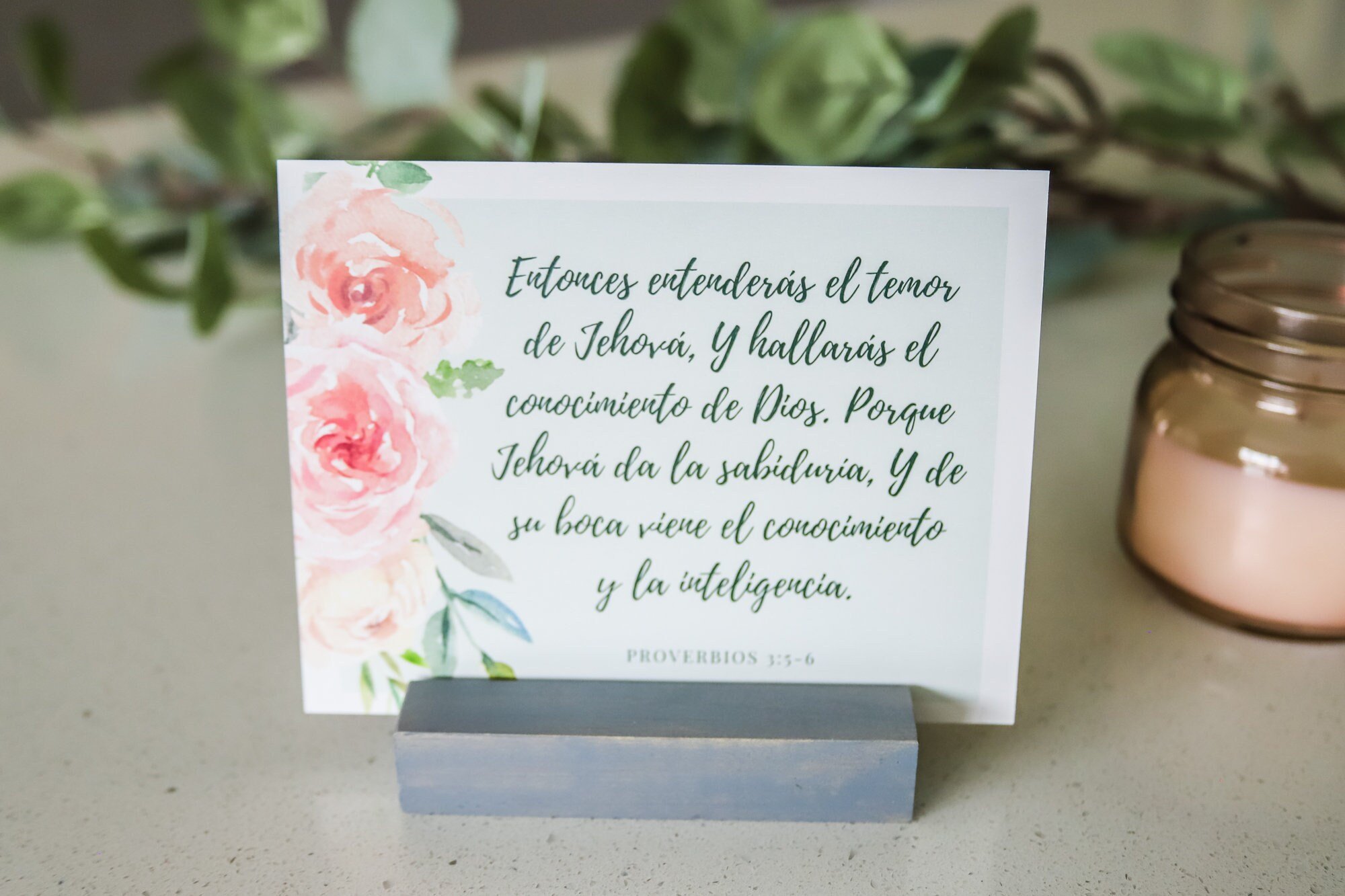 https://i.etsystatic.com/23183617/r/il/89f0d2/4108510385/il_fullxfull.4108510385_n3t1.jpg